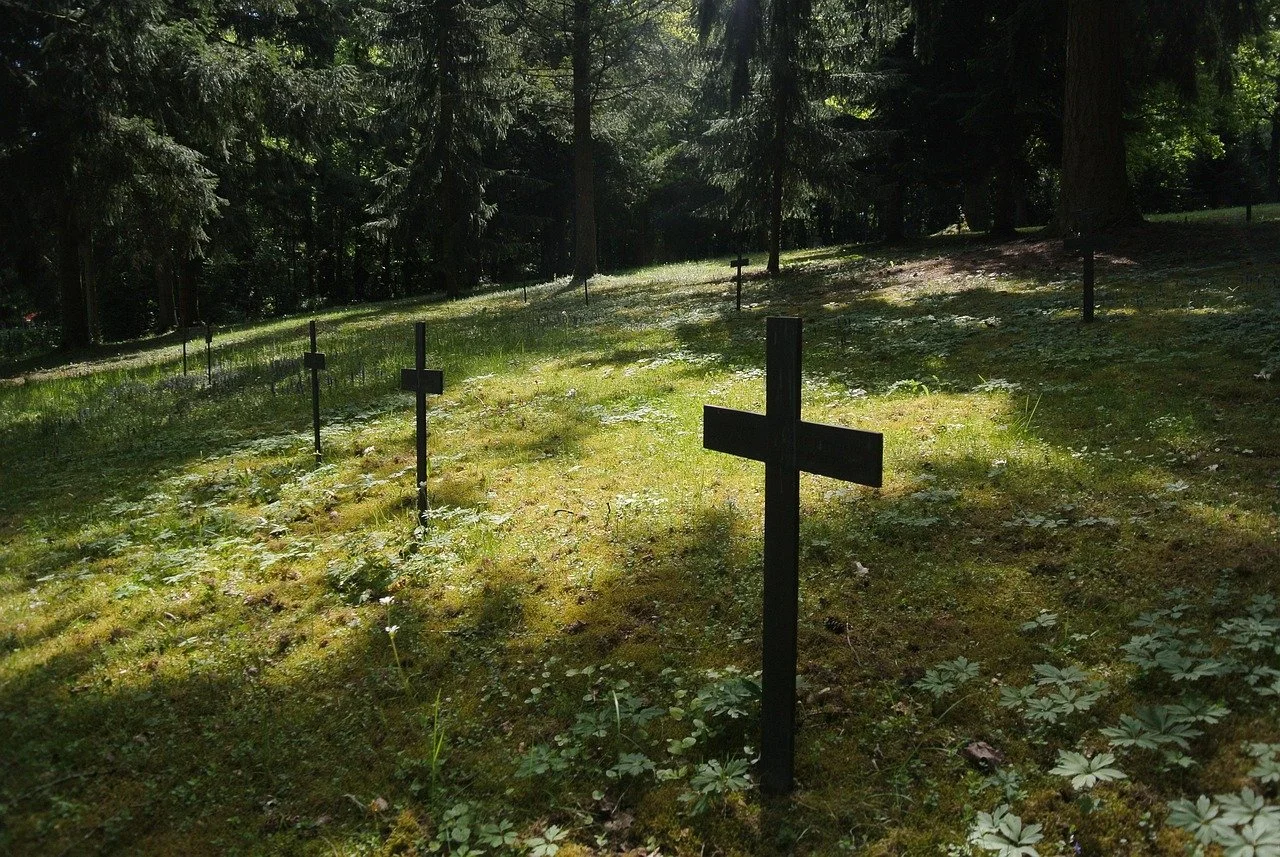 Ein Friedhof mit schwarzen Holzkreuzen in einem Wald, Sonnenlicht fällt auf das grüne Moos und die Pflanzen am Boden.