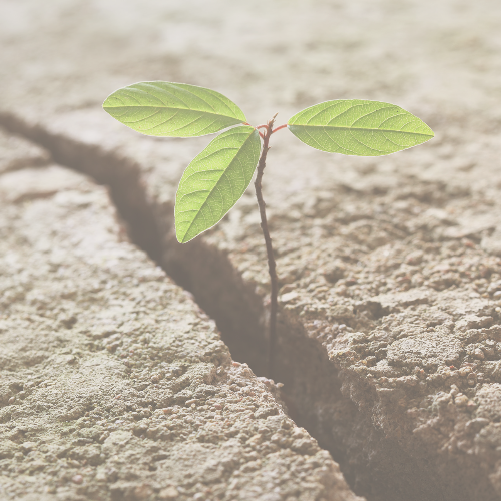 What Are Your Best Hopes? (And Why This Question Matters More Than You Might Think)