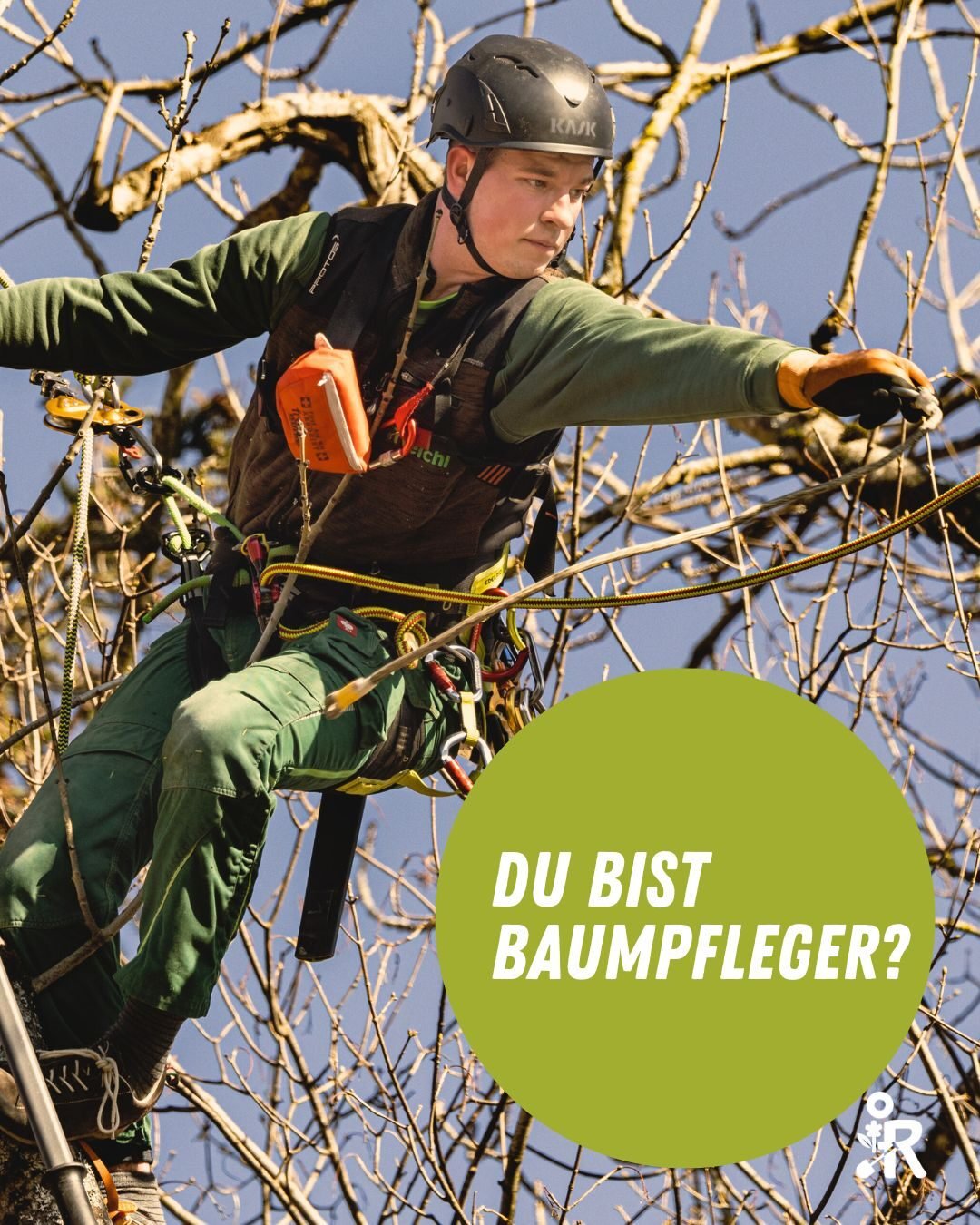 Du bist Baumpfleger? Wir suchen dich. 🌳

Du hast eine abgeschlossene Ausbildung zum G&auml;rtner, arbeitest gerne im Team und bringst handwerkliches Geschick mit?
Eigeninitiative, Einsatzbereitschaft und ein sicherer Umgang mit Kunden geh&ouml;ren f
