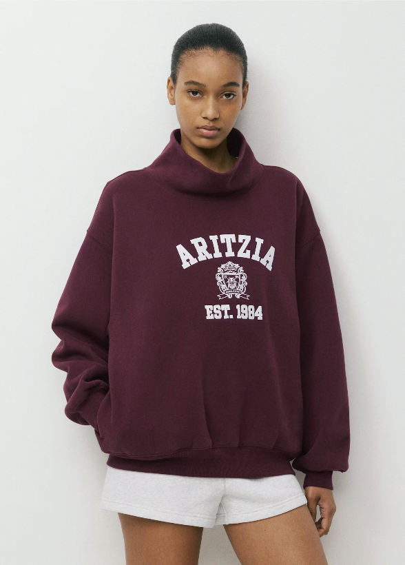  ARITZIA  
Cozy Sweatfleece Funnel Kneck 
95 €