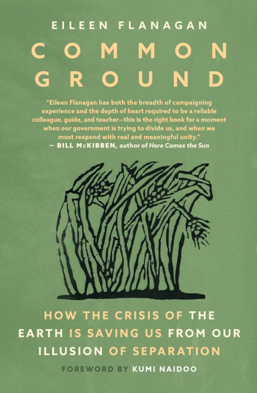 Cover of the book titled "Common Ground" by Eileen Flanagan, featuring an illustration of intertwined tree roots on a green background.