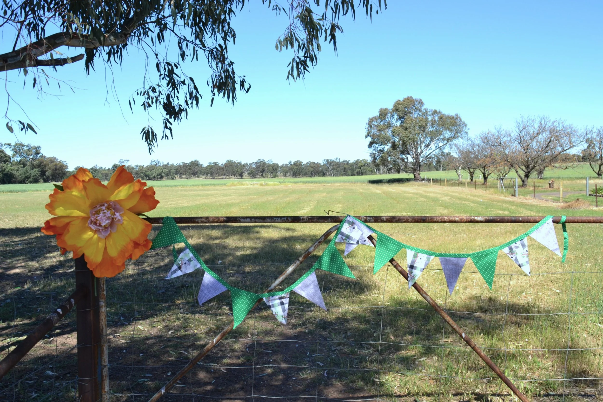 Green Koala Bunntin.JPG