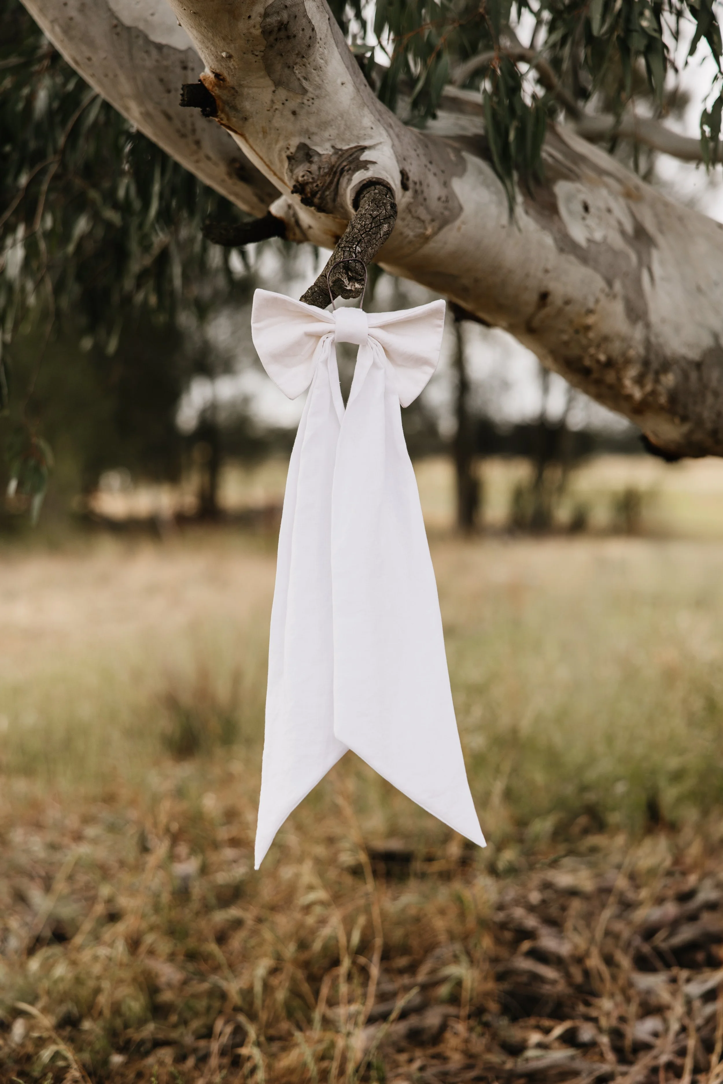 A white fabric bow tied around a tree branch in an outdoor setting with grass and trees in the background.