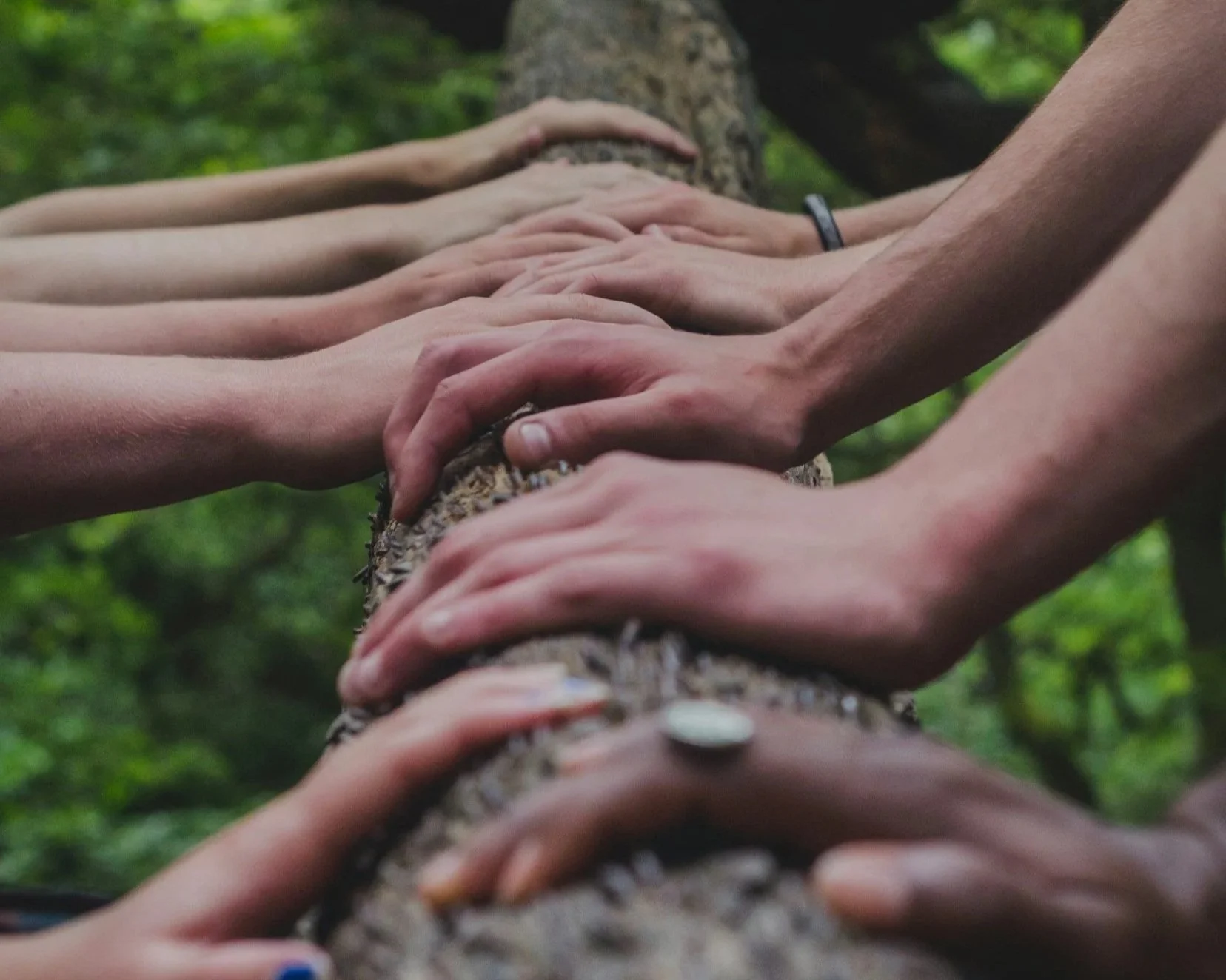 Multiple hands of different people touching and holding a tree trunk in a forest.