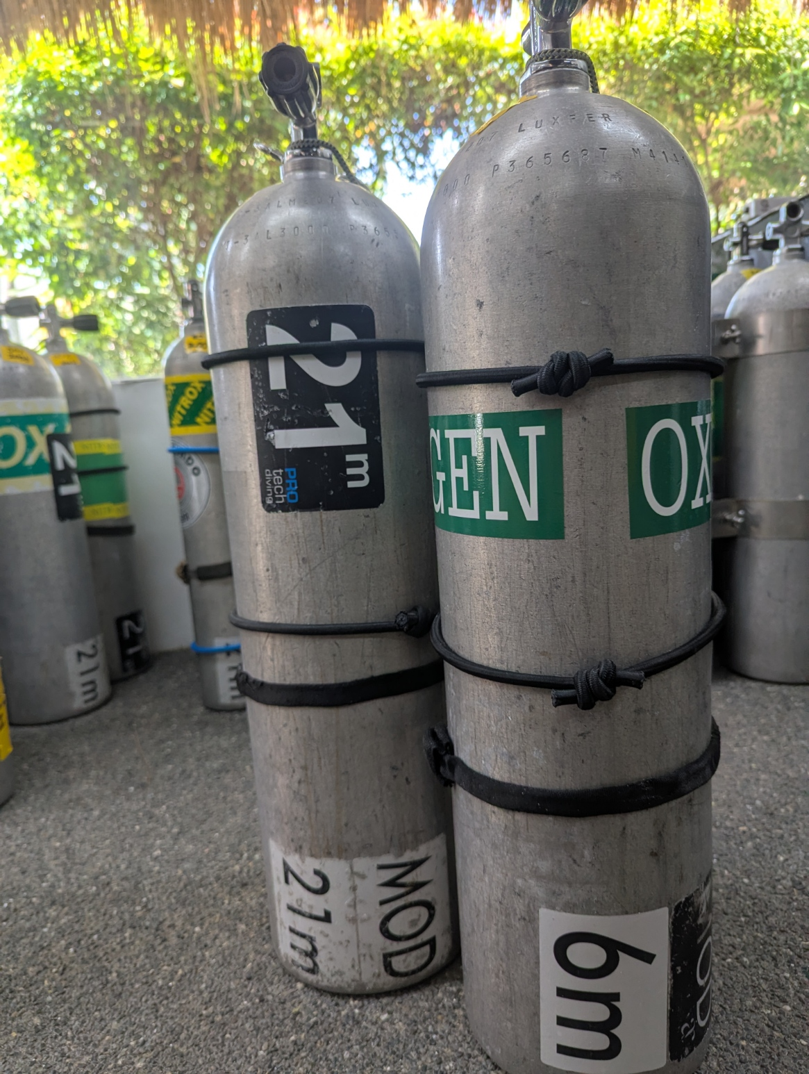 Several compressed gas cylinders, some labeled with measurements and safety markings, stored outdoors with a background of trees and sunlight.