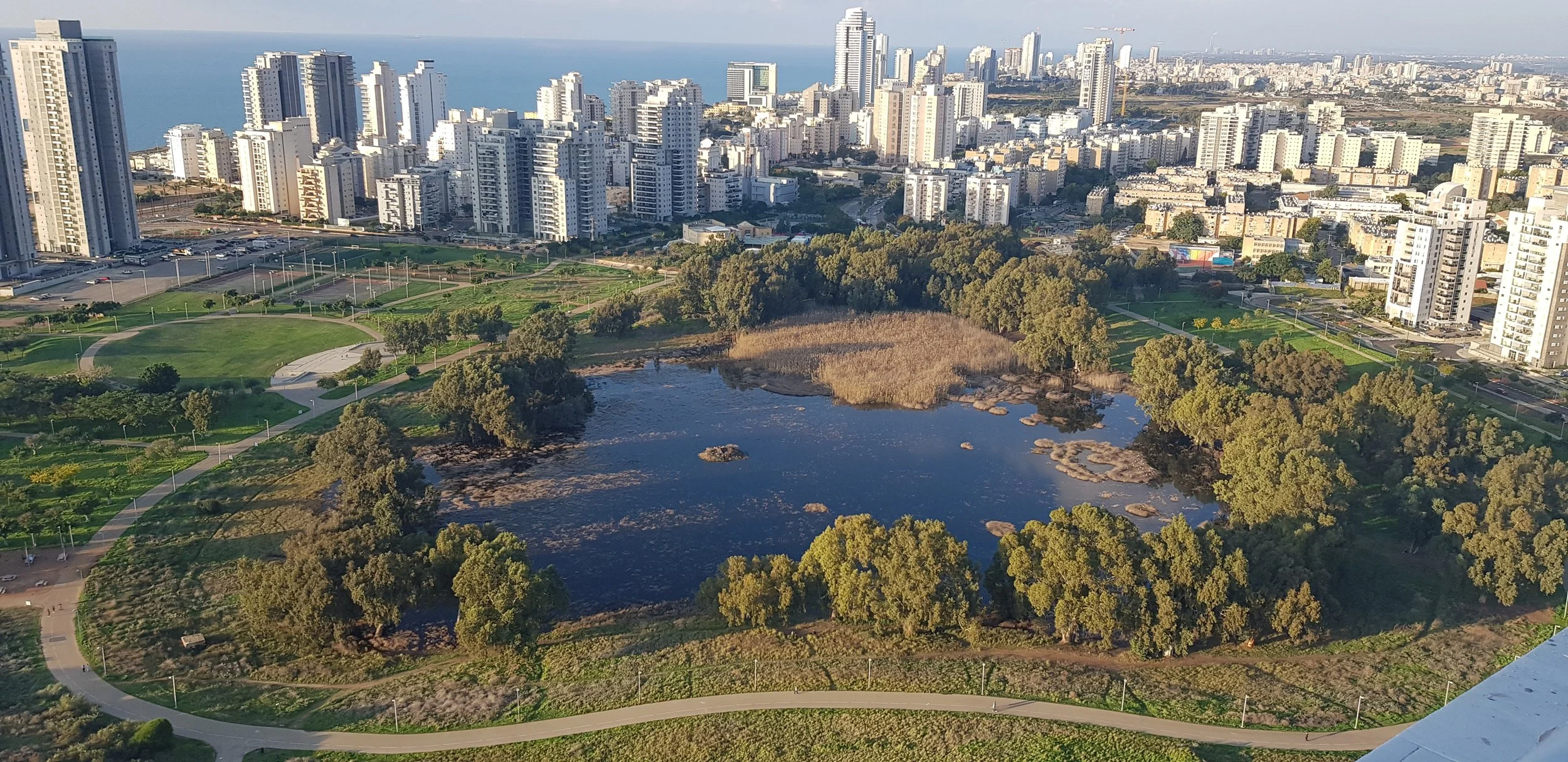 Moving abroad didn't fix it.