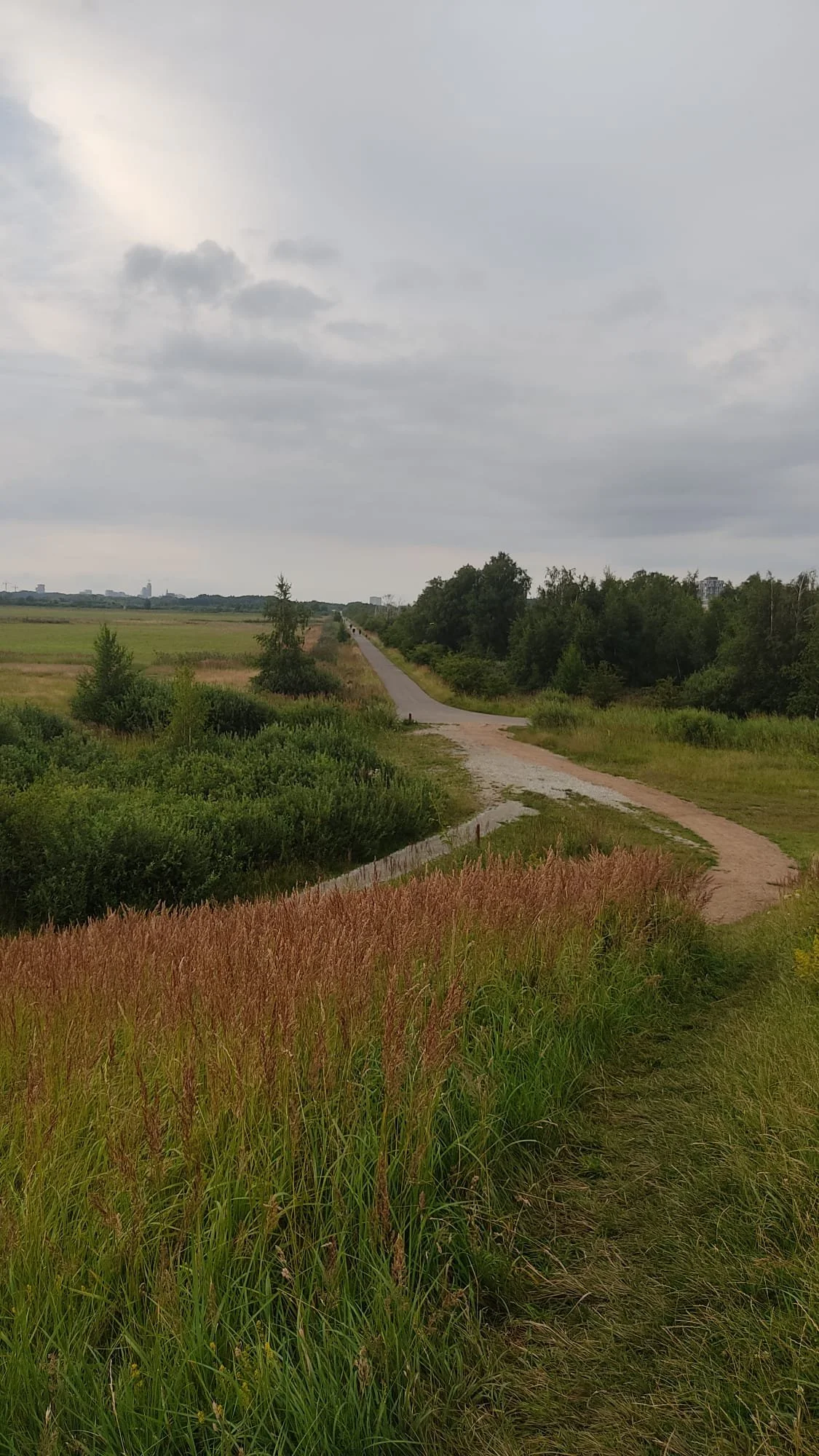 A winding dirt path through green grassy fields with trees and overcast sky.