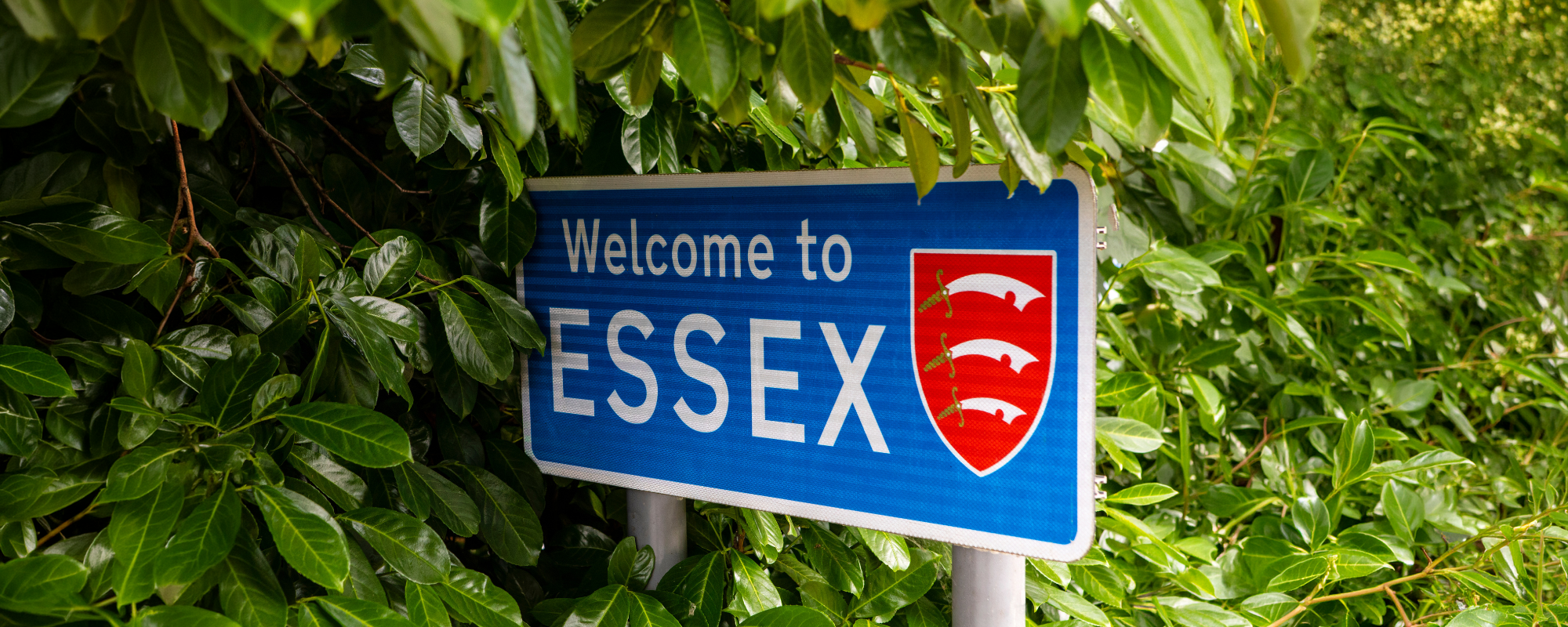 Why Businesses in Essex Need to Think Long-Term About Their IT