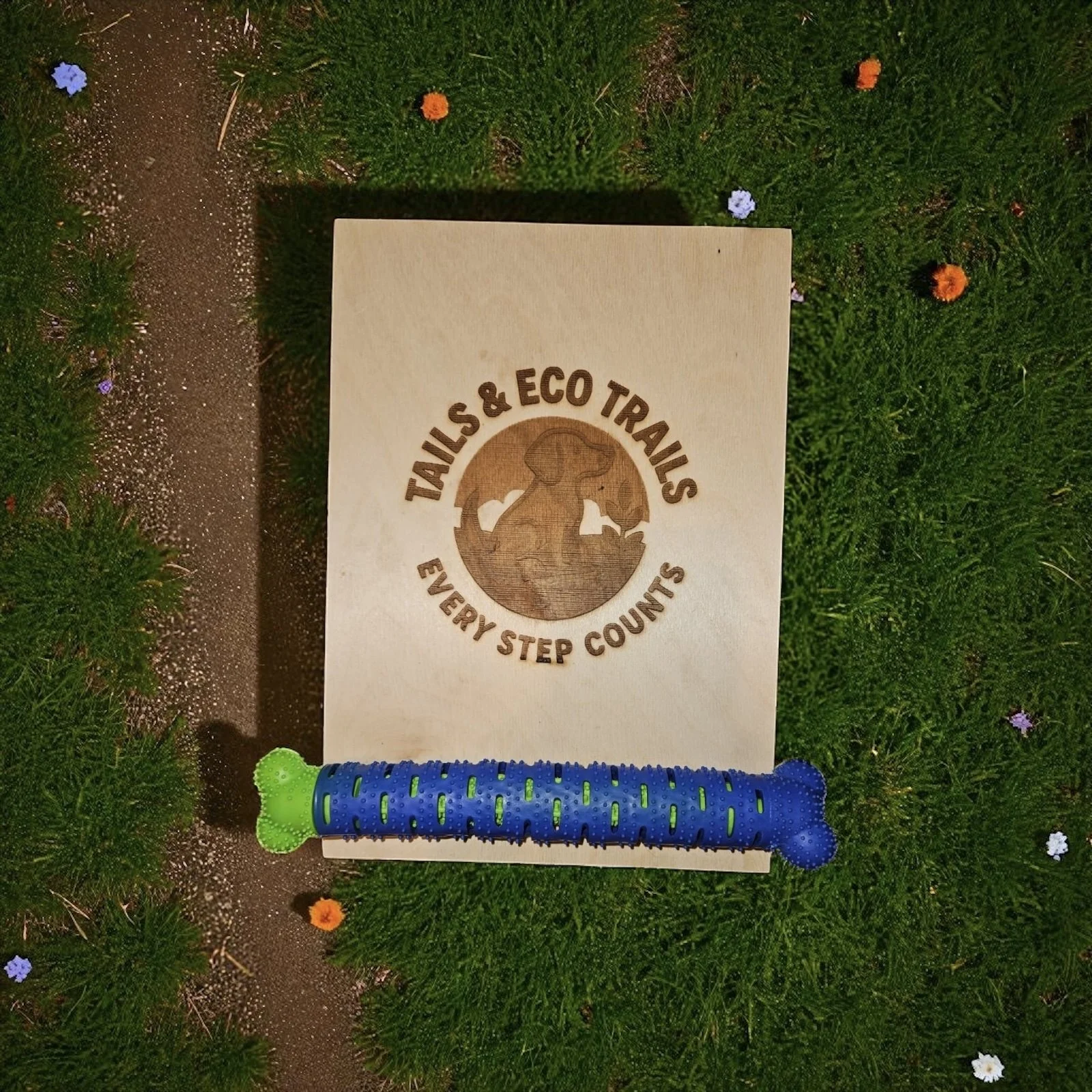 Eco-Friendly Dual-Texture Dog Teething Toy