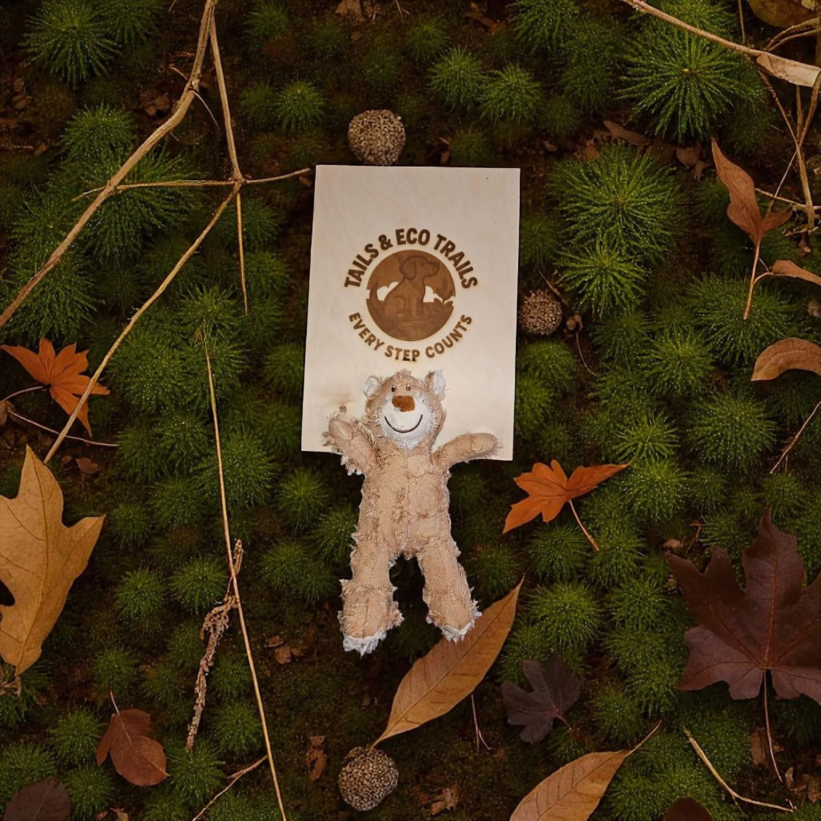 Eco Tough Bear Chew Toy