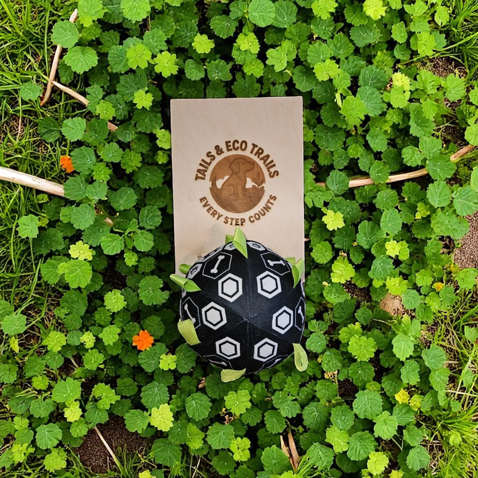 Chew-Resistant Dog Ball with Bell