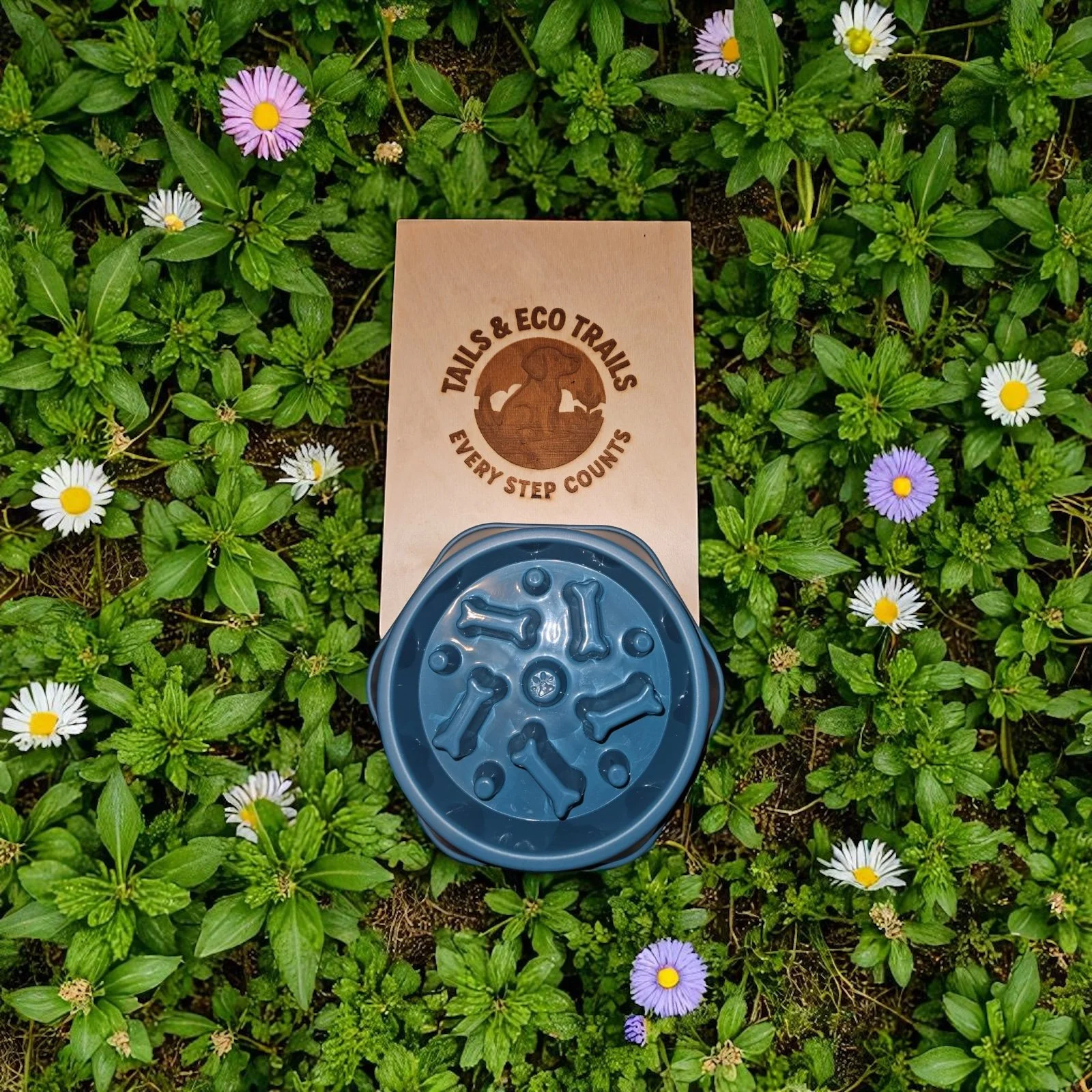 Slow Feeder Dog Bowl