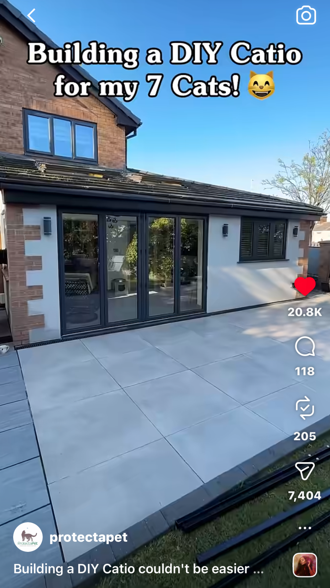 Showcasing ProtectaPet's new DIY Catio installation