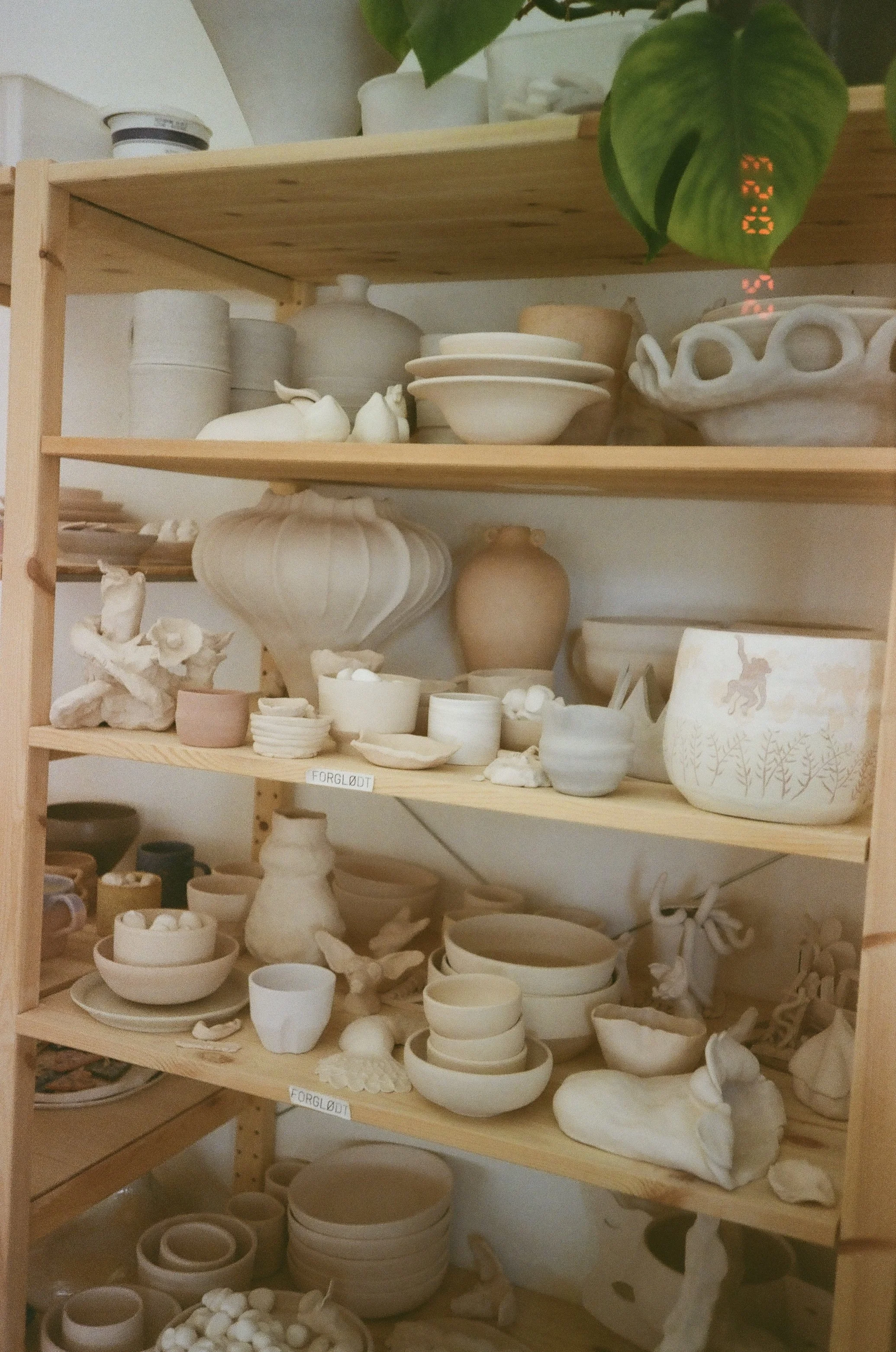 Wooden shelf filled with unglazed ceramic pottery and sculptures, including bowls, vases, and animal figures, with a green leafy plant on top.