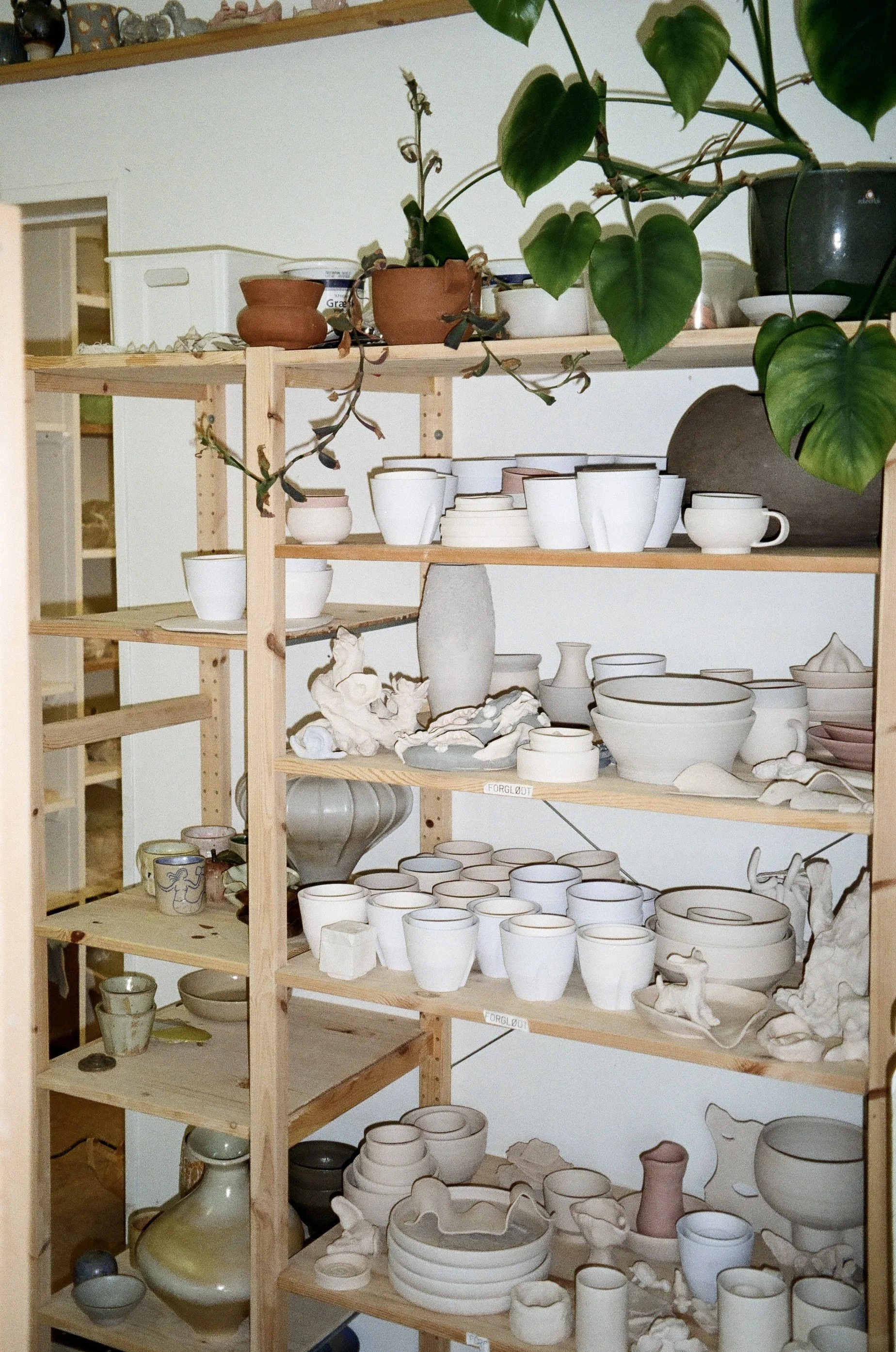 Wooden shelving unit filled with various ceramic pottery, including bowls, mugs, and vases, in a pottery studio. Green leafy plant is hanging in the top right corner.