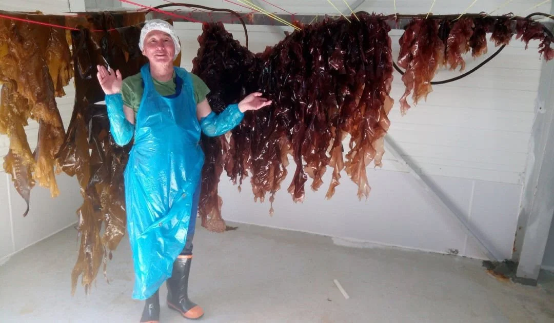 Ulrik-Maki-Lyberth-and-Seaweed-Maki-Seaweed-Facebook.jpg