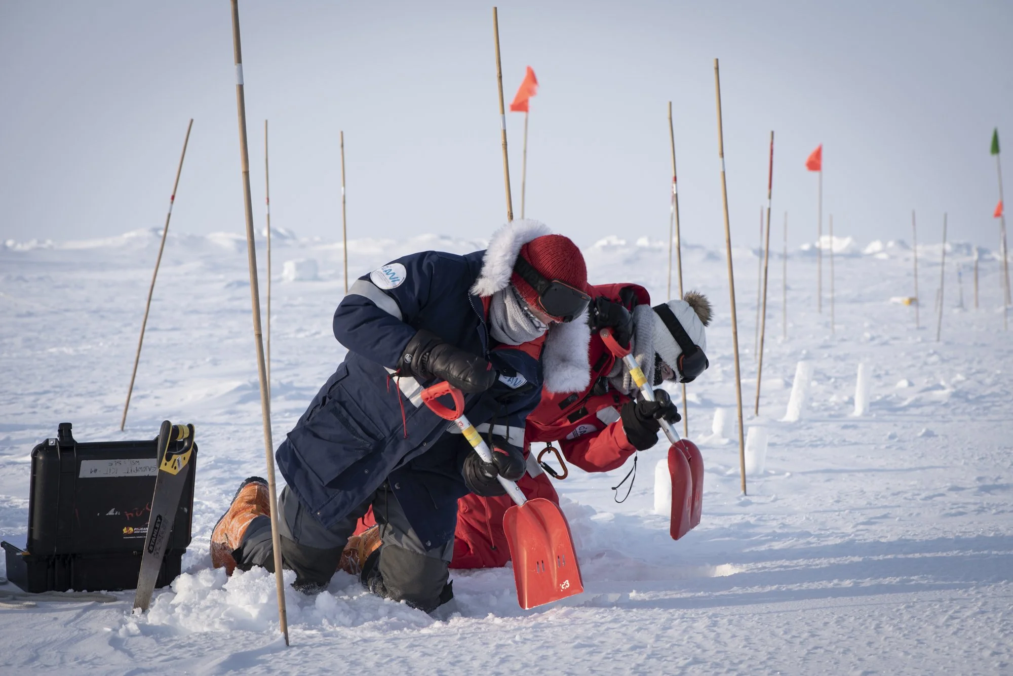 DMO_0174-2_Delphin Ruche.jpg