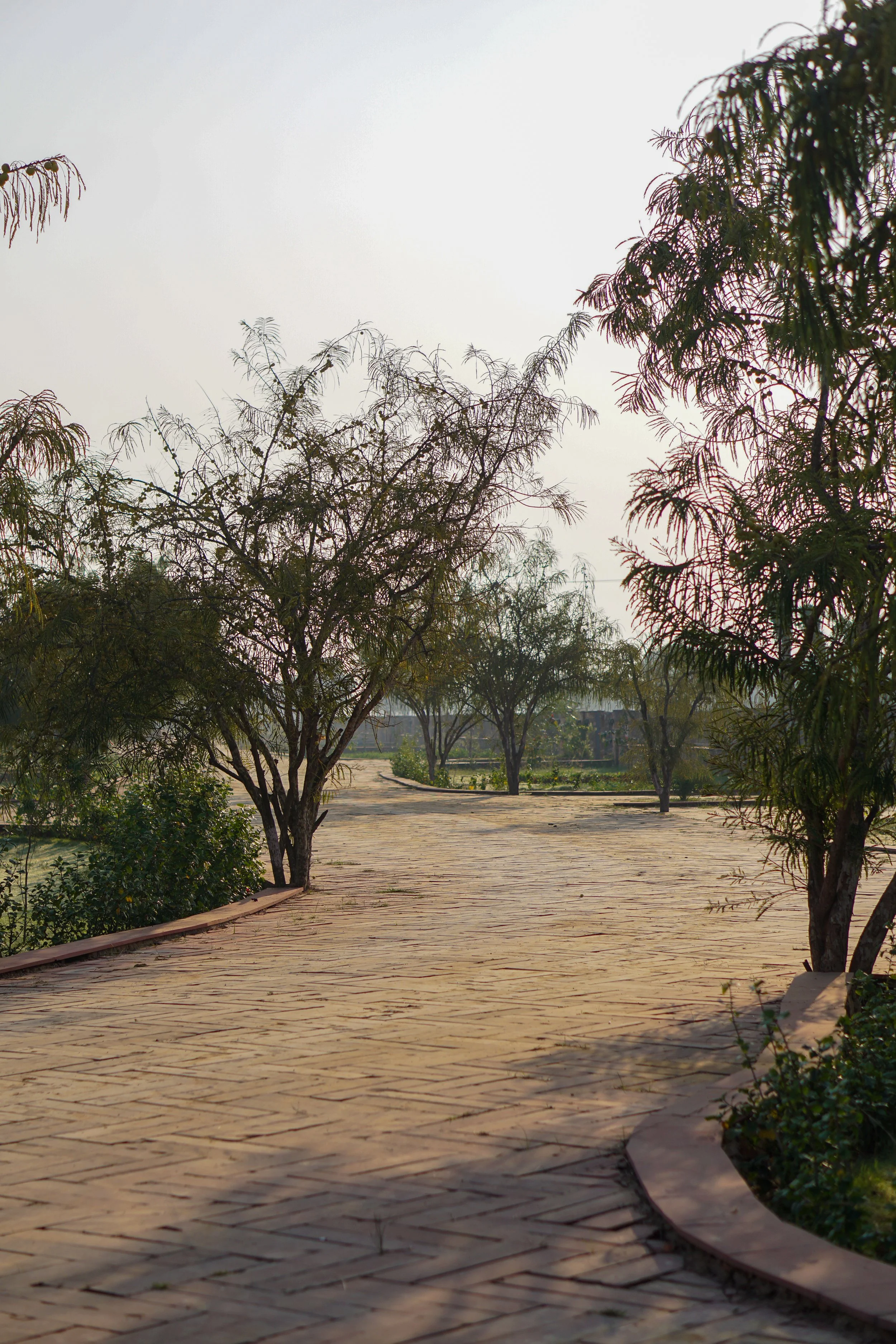 5 Mistakes People Make When Buying a Farm (And How to Avoid Them)