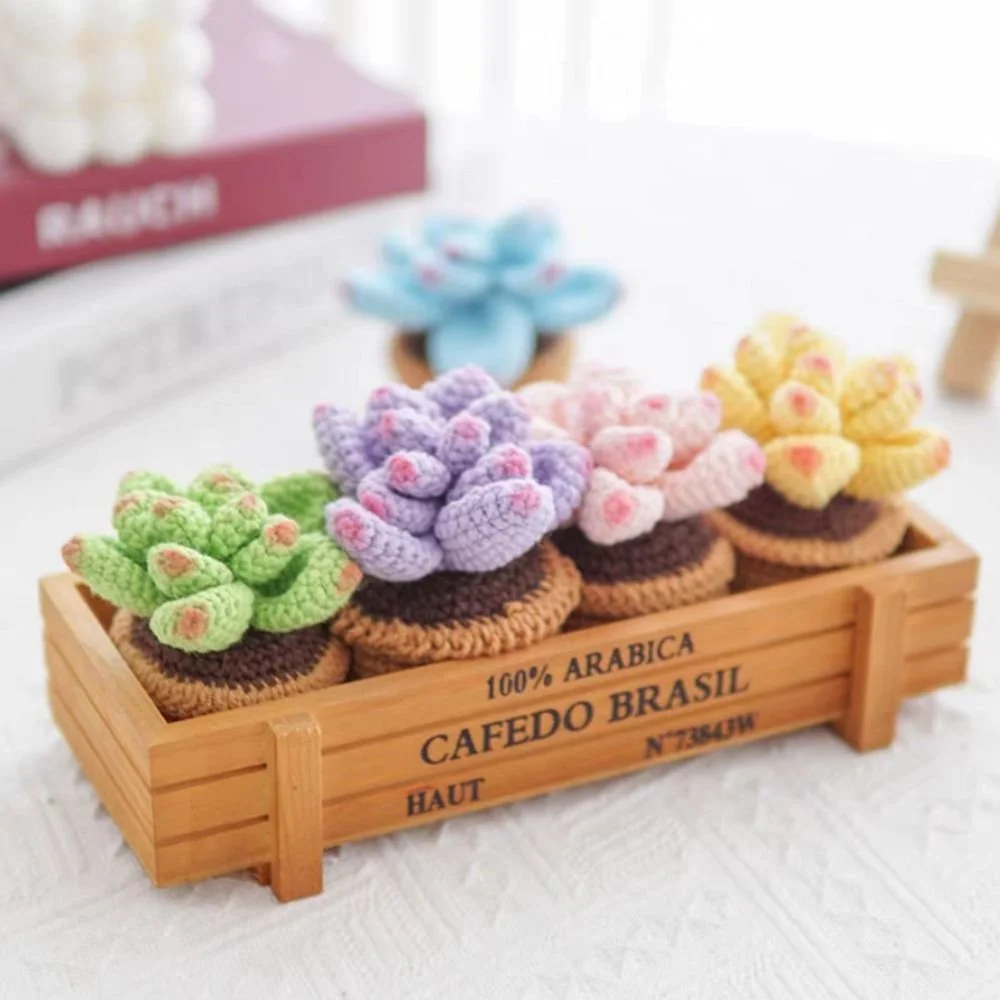 5Pcs Succulents Beginner Crochet Knitting Kit Crochet Starter Kit