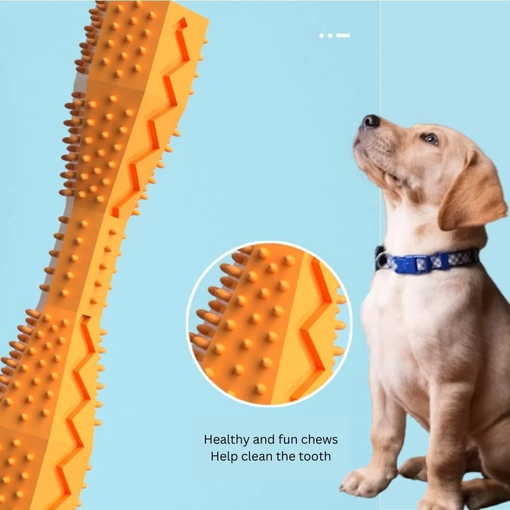 宠物狗咬棒 (1).jpg