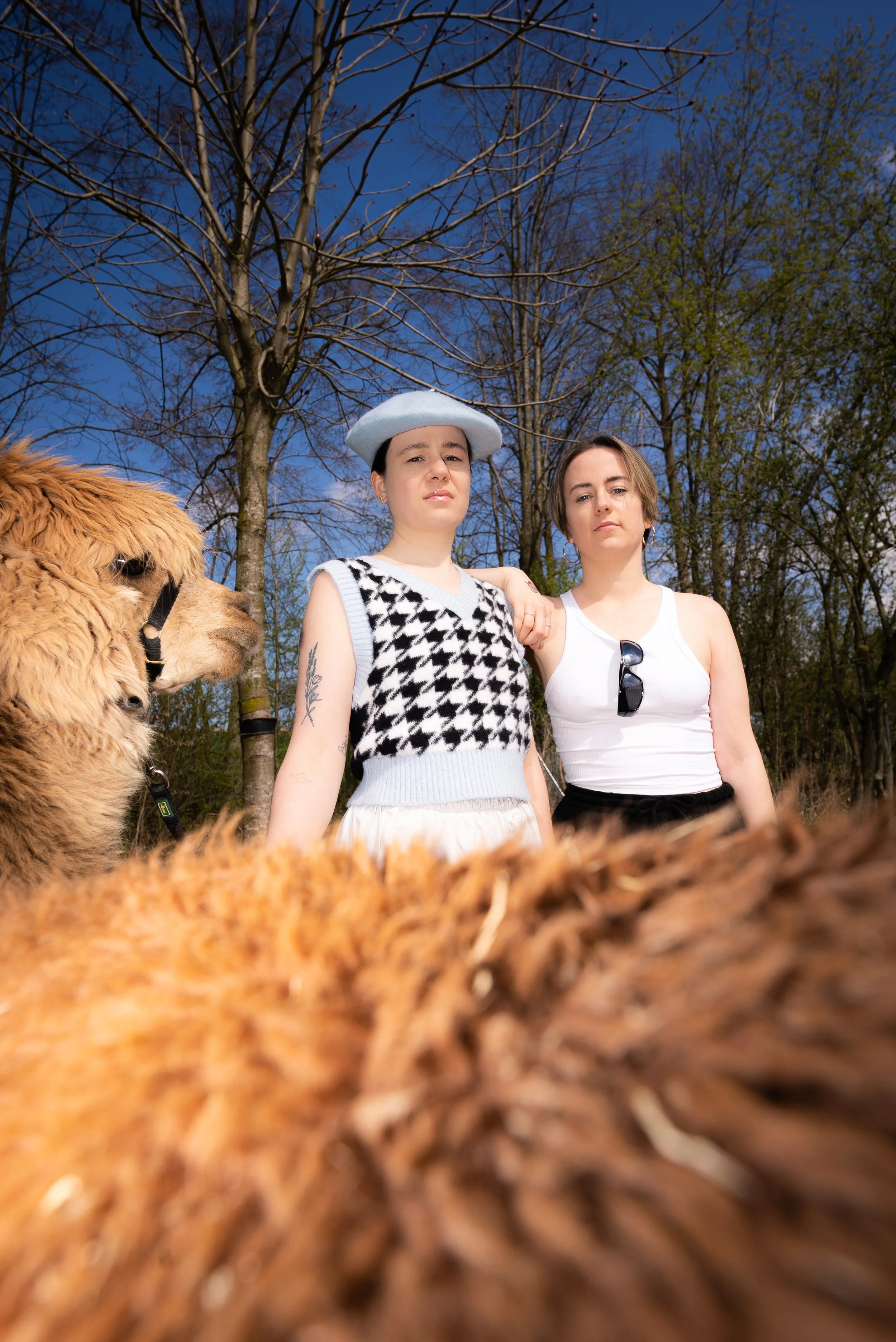 Zwei junge Frauen stehen im Freien neben einem Llamas, mit Blick in die Kamera, bei schönem Wetter mit blauen Himmel und Bäumen im Hintergrund.