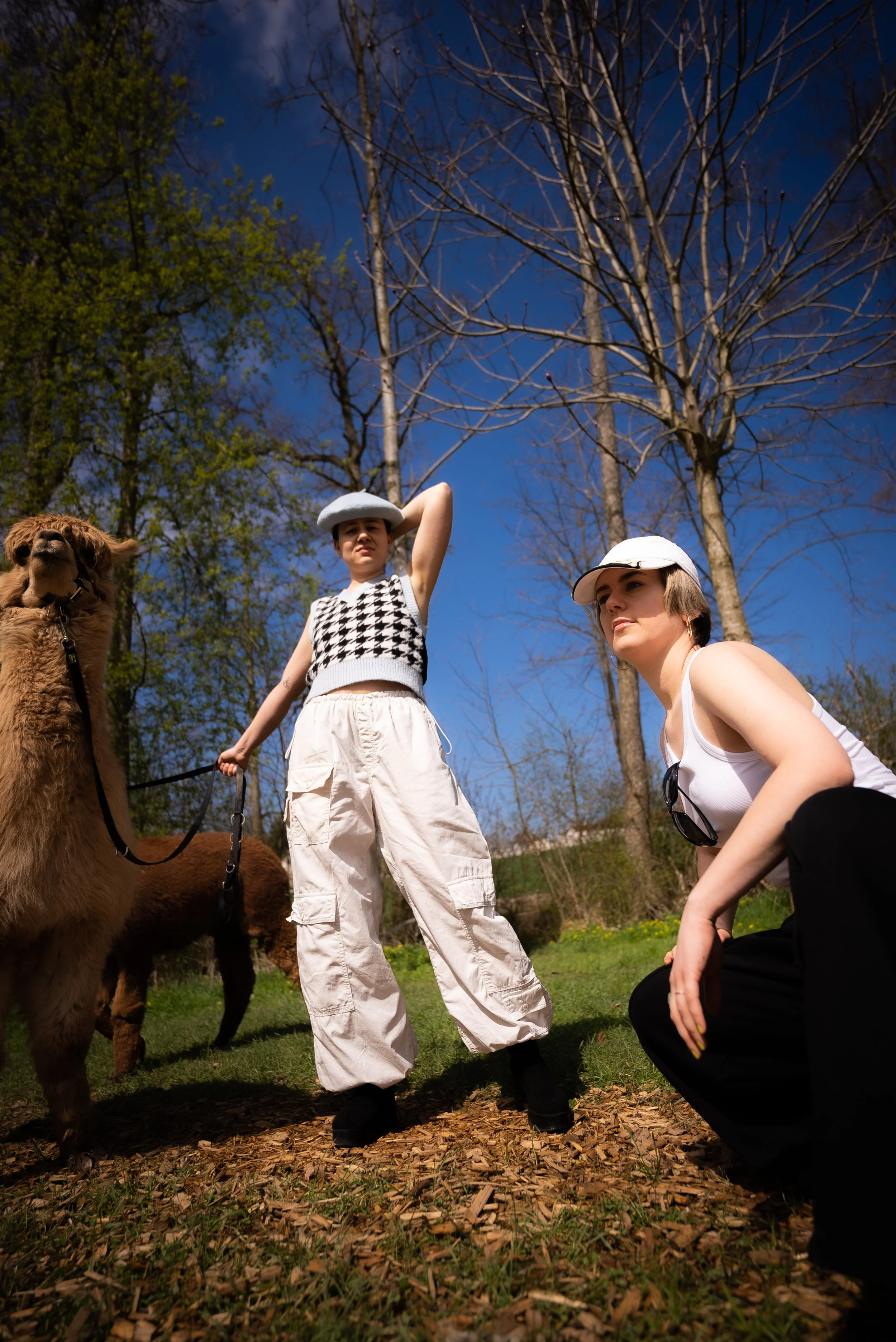 Zwei Frauen und ein Lama im Freien an einem sonnigen Tag, mit blauen Himmel und Bäumen im Hintergrund.