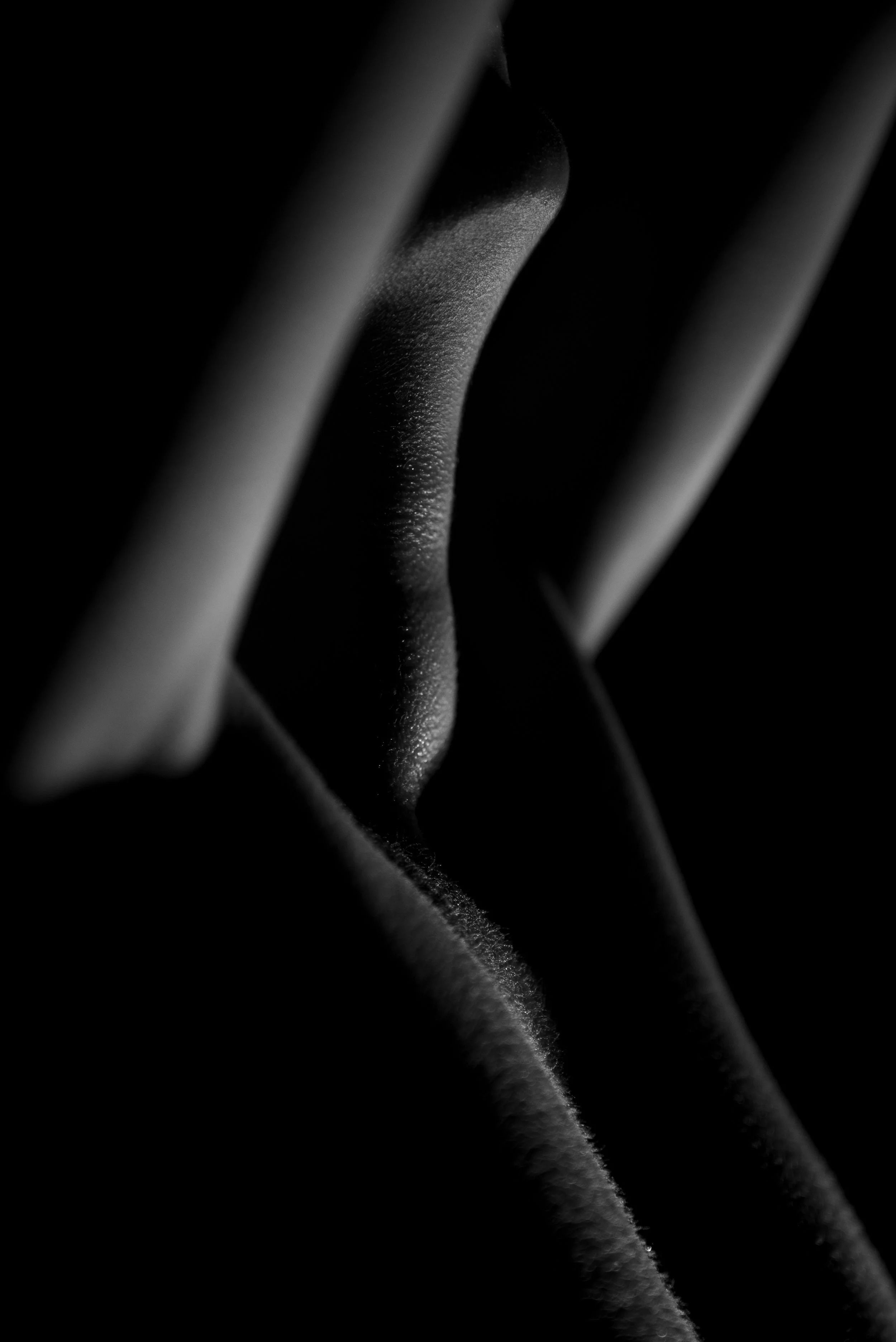 Nahaufnahme von Sektgläsern in Schwarzweiß, Fokus auf die gläsernen Oberflächen und Lichtreflexionen