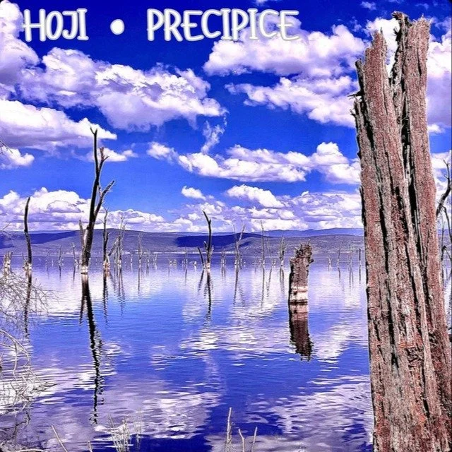 Check out awesome new music from @hojimusic_ released today - Precipice EP. I loved playing bass on these tracks with fader master @chrisnickollsmusic producing.