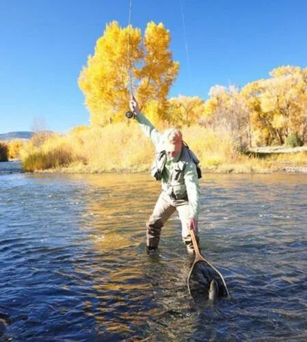 A man standing in a river, holding a fishing net with a fish, with yellow trees and clear blue sky in the background.