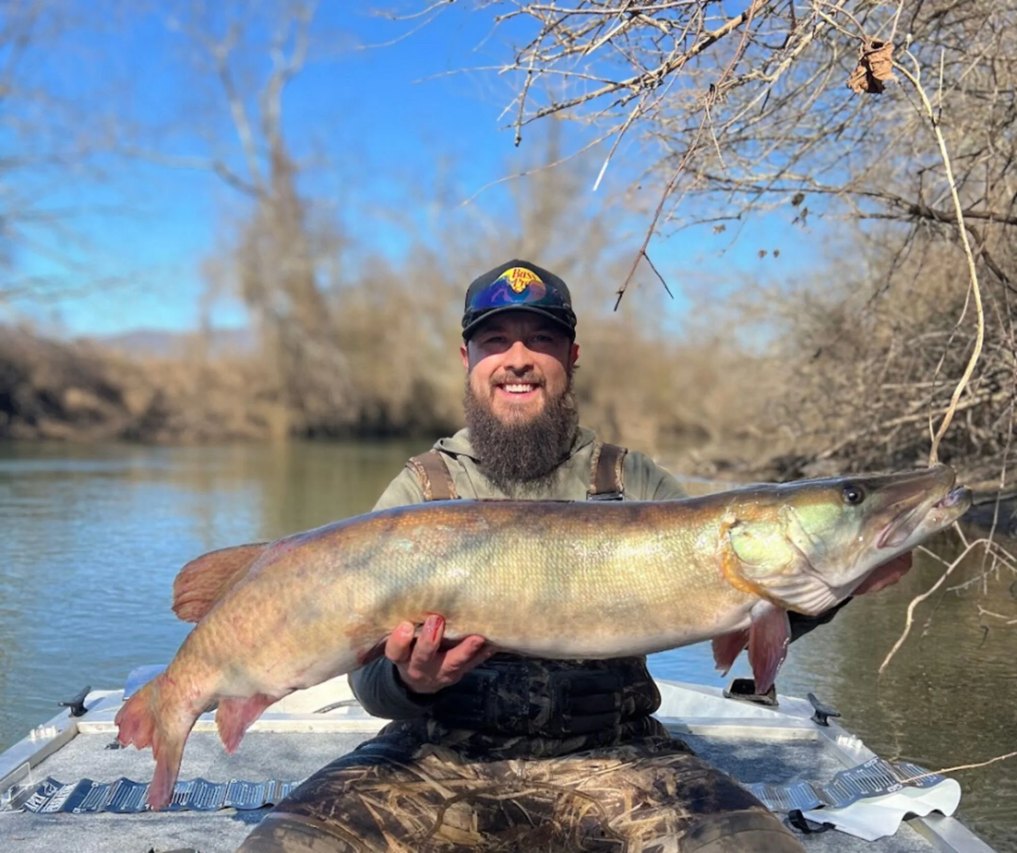 A man with a beard and sunglasses on his cap, smiling and holding a large fish on a boat in a river, with trees and a clear blue sky in the background.