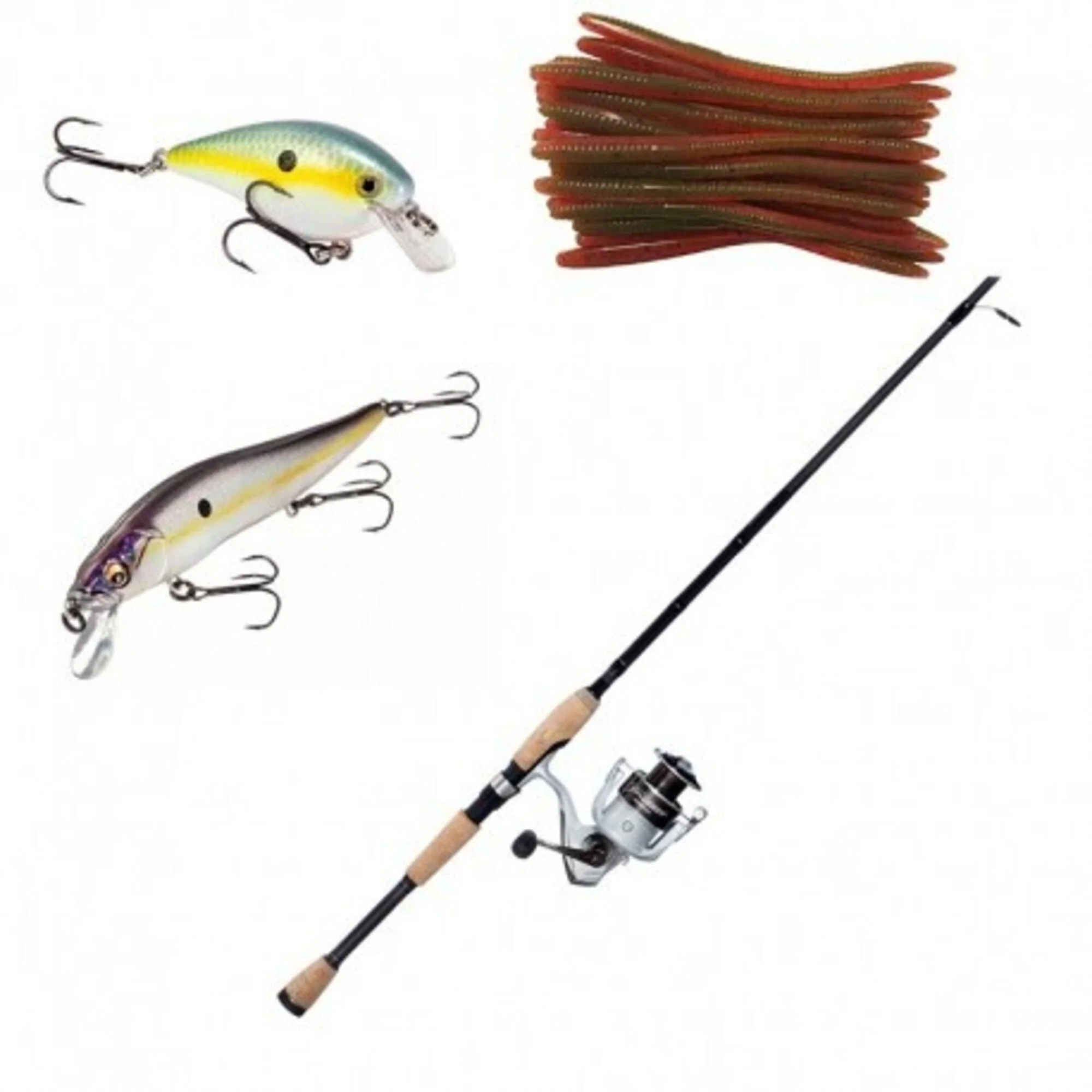 Fishing gear including two fishing lures, a pack of rubber worms, a fishing rod, and a reel.