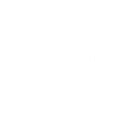 Miami Fest Gallery Pic.png