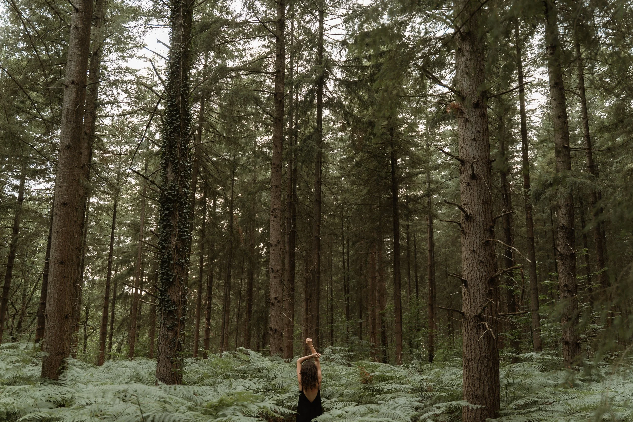 Portrait intimiste dans les Landes : révéler votre naturel.