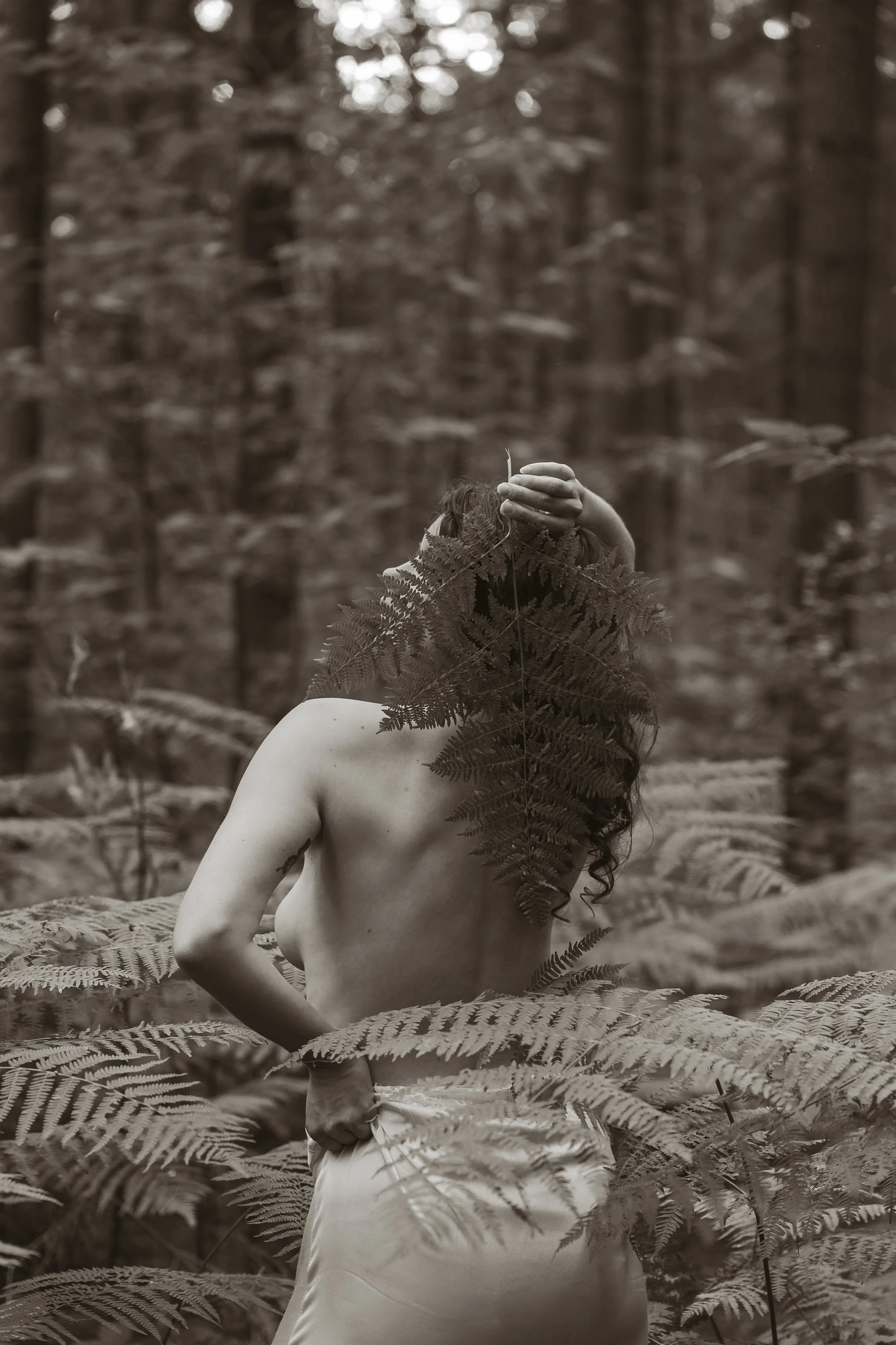 portrait intimiste femme landes foret pays basque