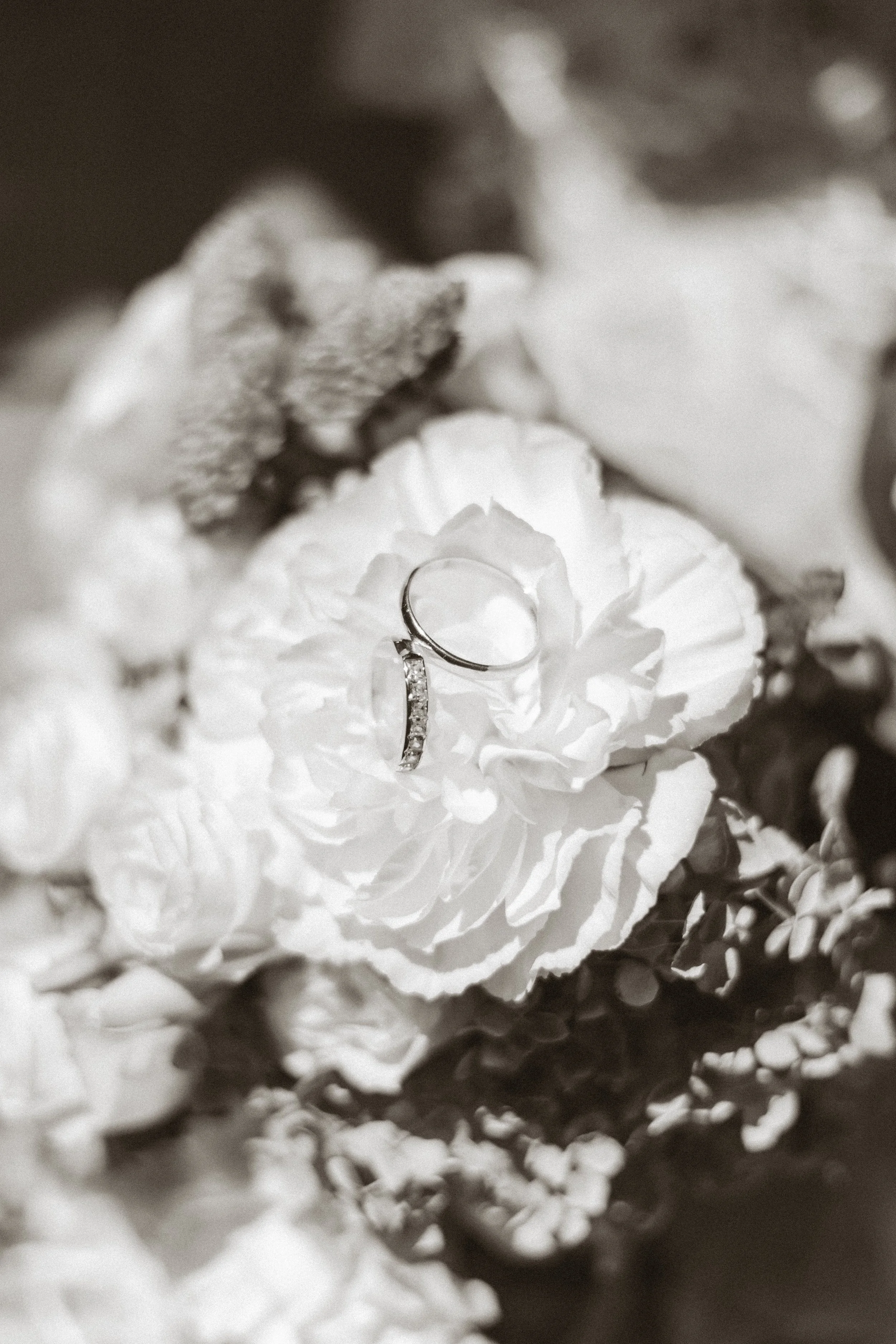 jadelasfarphotographie-Laura&Louis-21.jpg