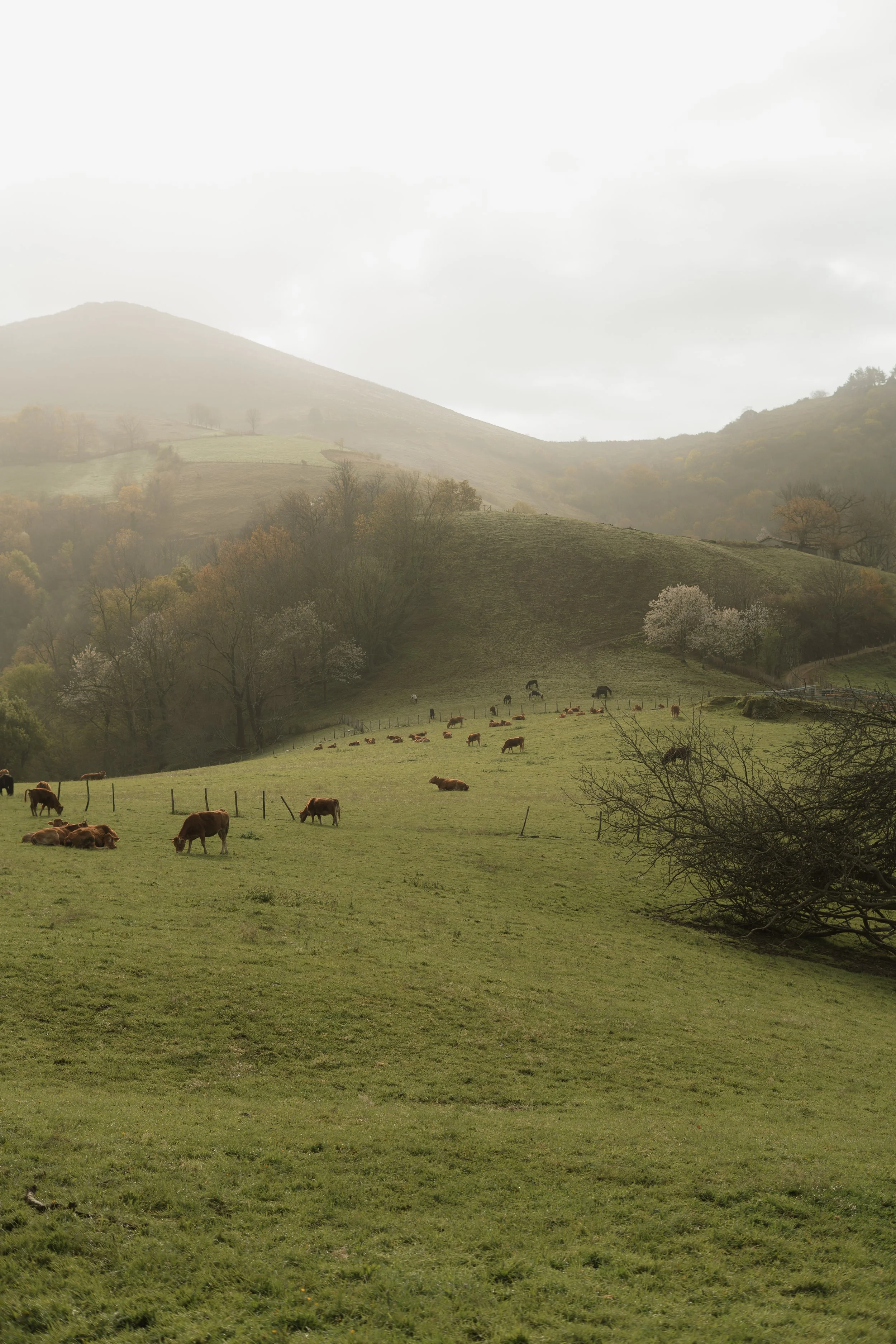 Paysage pays Basque photographe 64