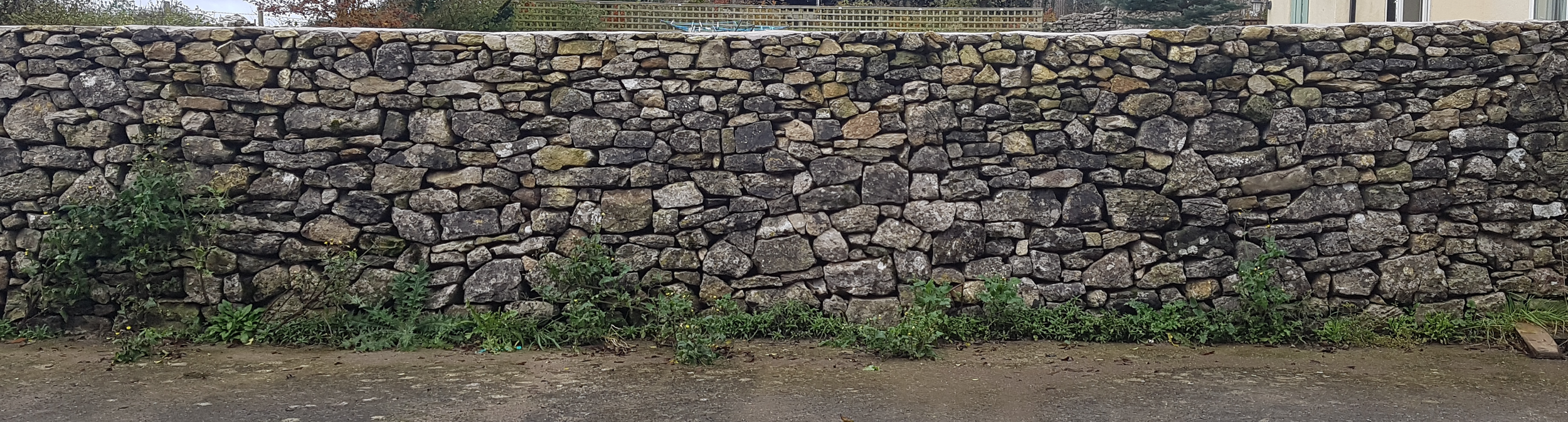 A random rubble dry stone wall in Priddy, Somerset with small plants and weeds growing at its base, set on a muddy ground.