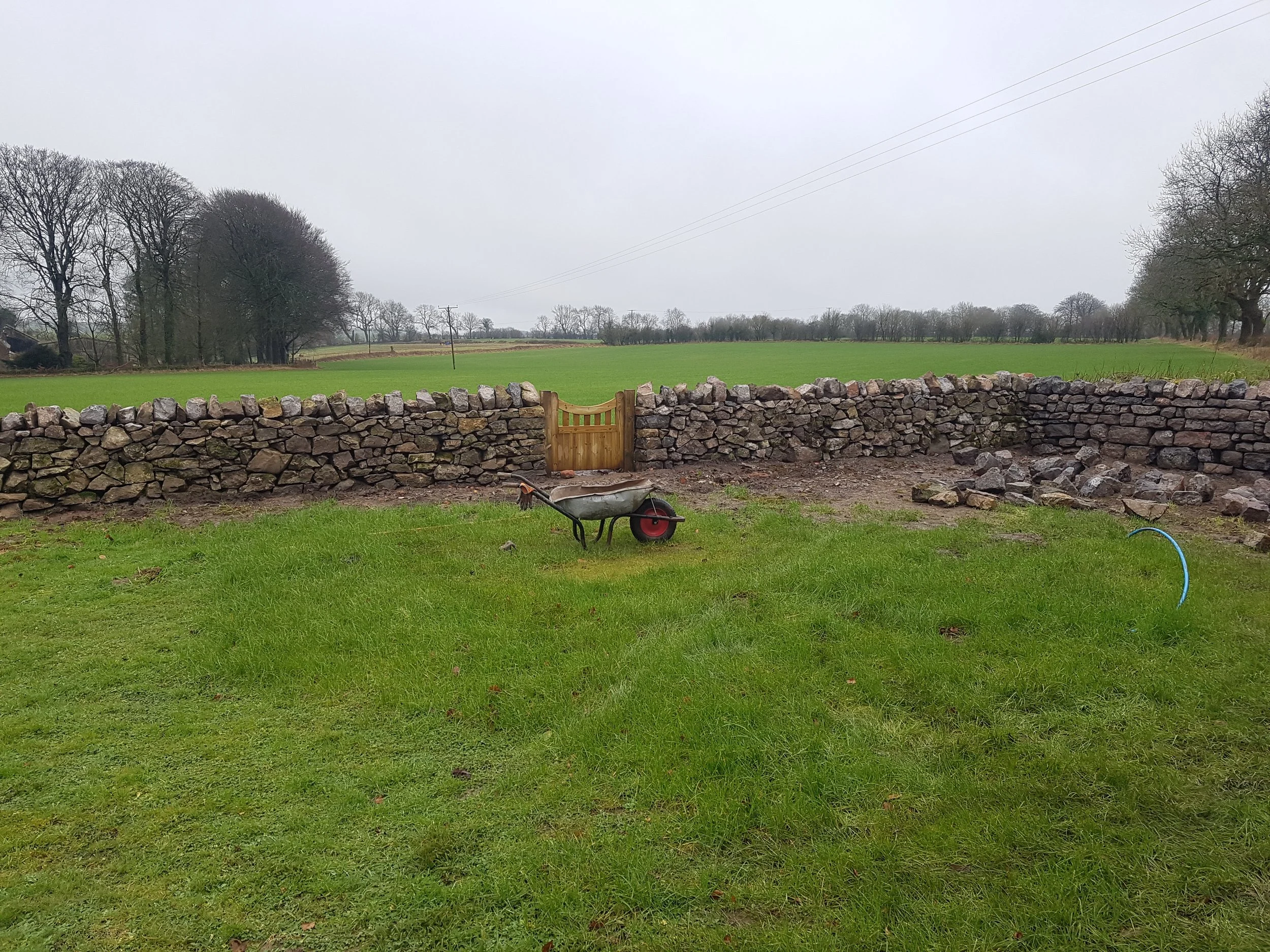 A grassy backyard with a stone wall, small wooden gate, wheelbarrow, and garden hose, with trees and open field in the background under an overcast sky.