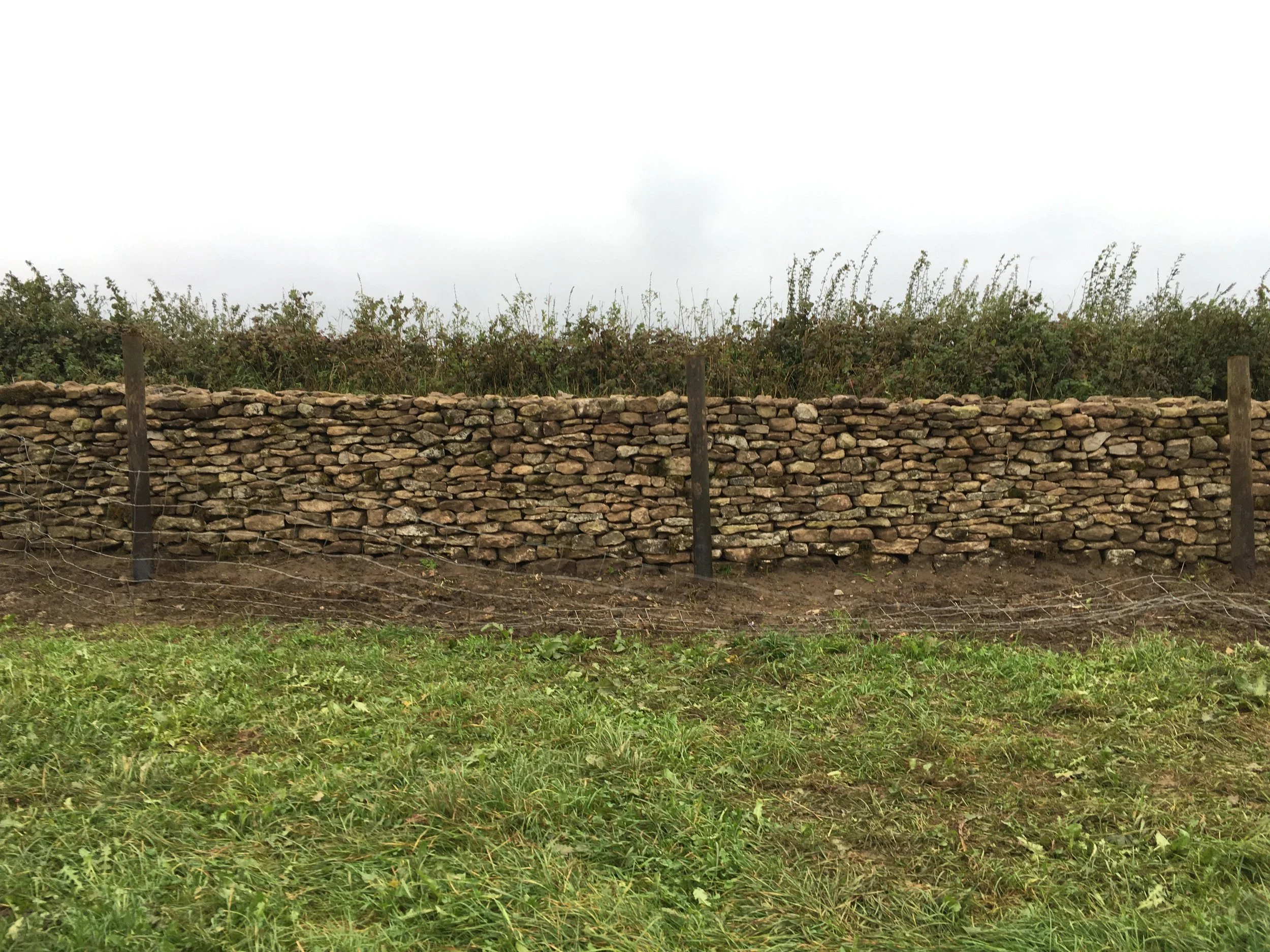 A dry stone wall in Litton, Somerset with black wooden posts and wire fencing, surrounded by green grass and shrubs, under a cloudy sky.
