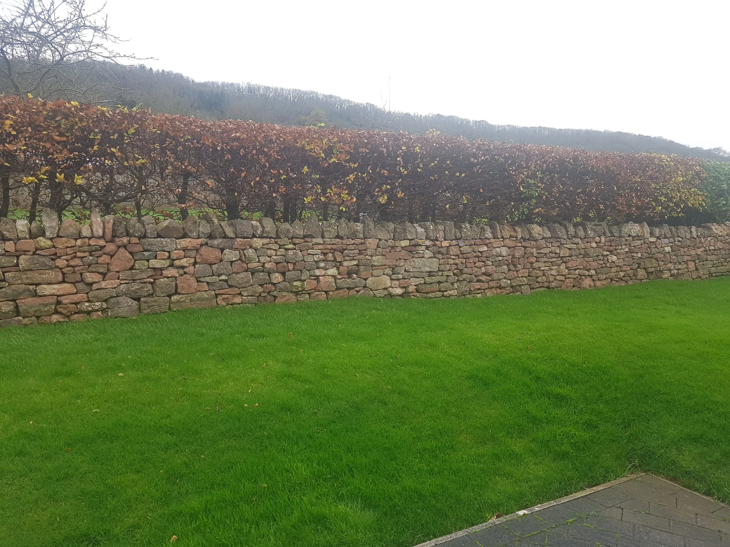 A dry stone wall in Ubley, Somerset with a neatly trimmed hedge on top, a grassy lawn in the foreground, and a hill with trees in the background.