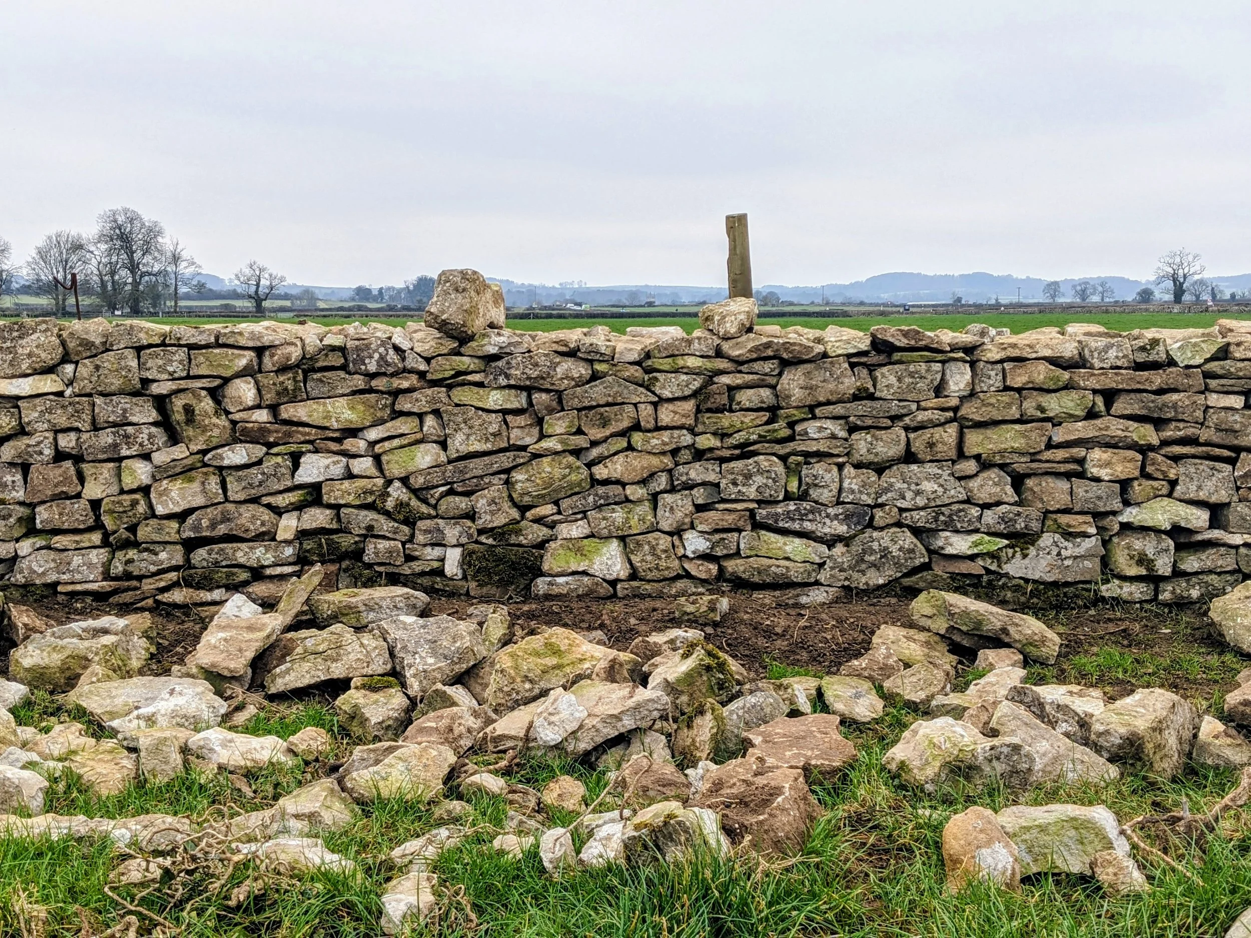 A dry stone wall in a rural landscape in Ston Easton, Somerset. with scattered trees and green fields under an overcast sky.