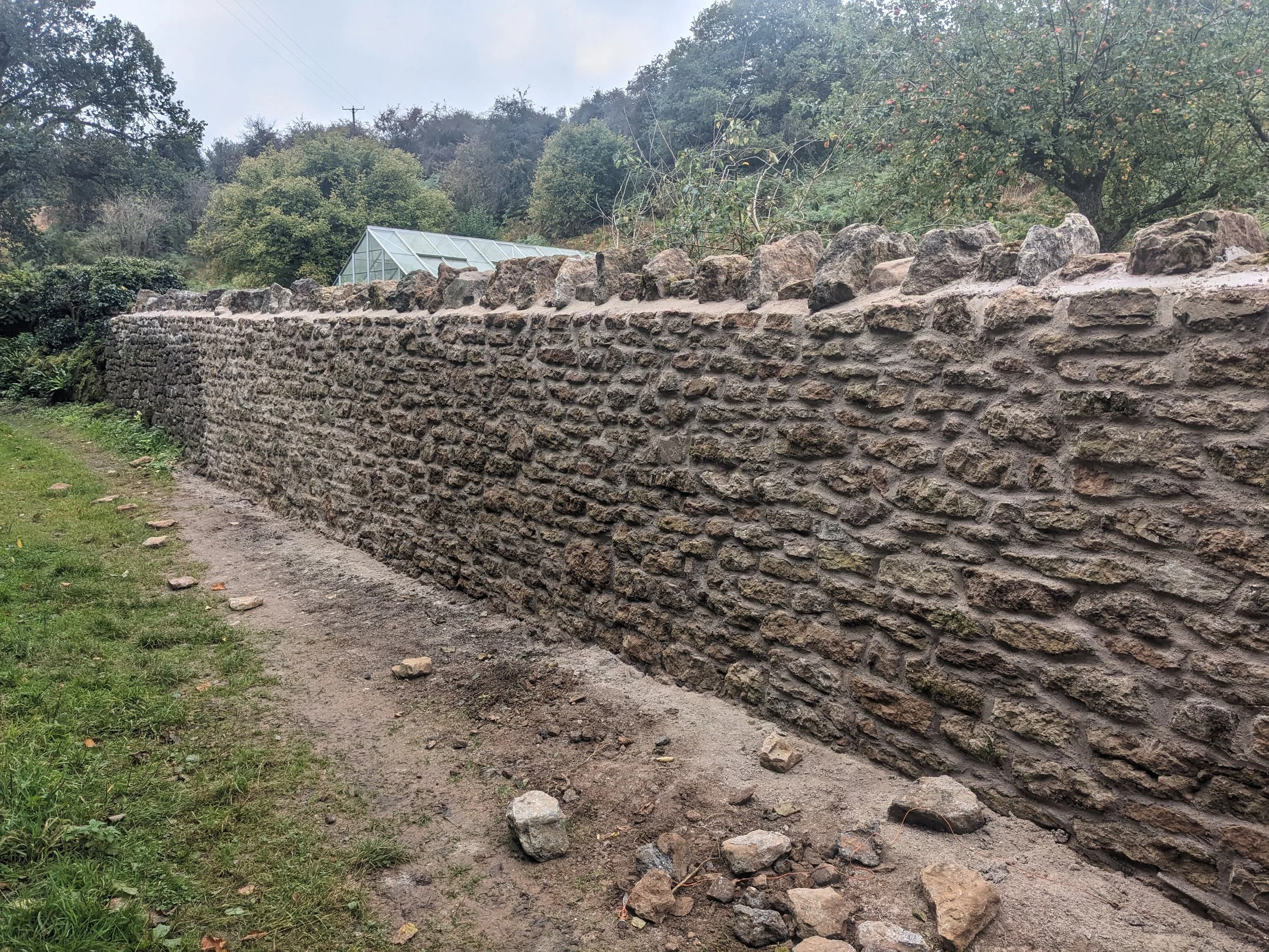 A long lime mortared stone wall made of irregularly shaped stone, running alongside a grassy path with small rocks scattered on the ground. Trees and a greenhouse are visible in the background under an overcast sky. in Winscombe, Somerset.
