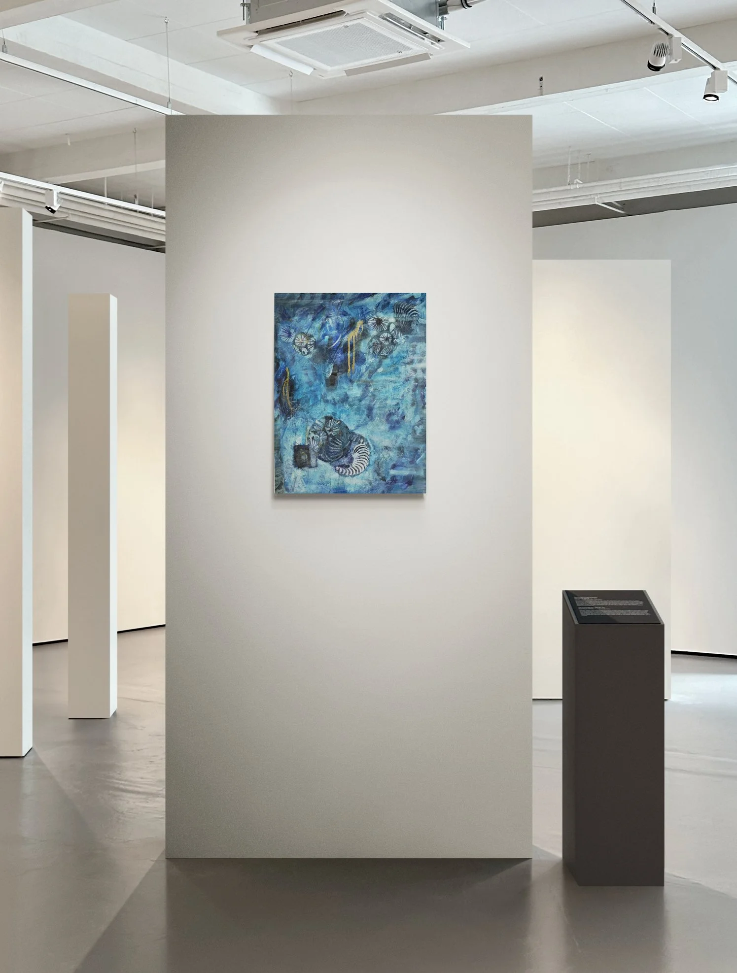 11 Unterwasserwelt Amonitentanz Art Gallery Wall.jpg