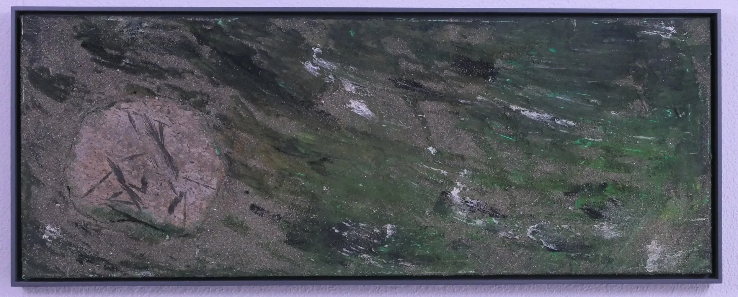 27 Fossil Gras Gerahmt P1025767.jpg