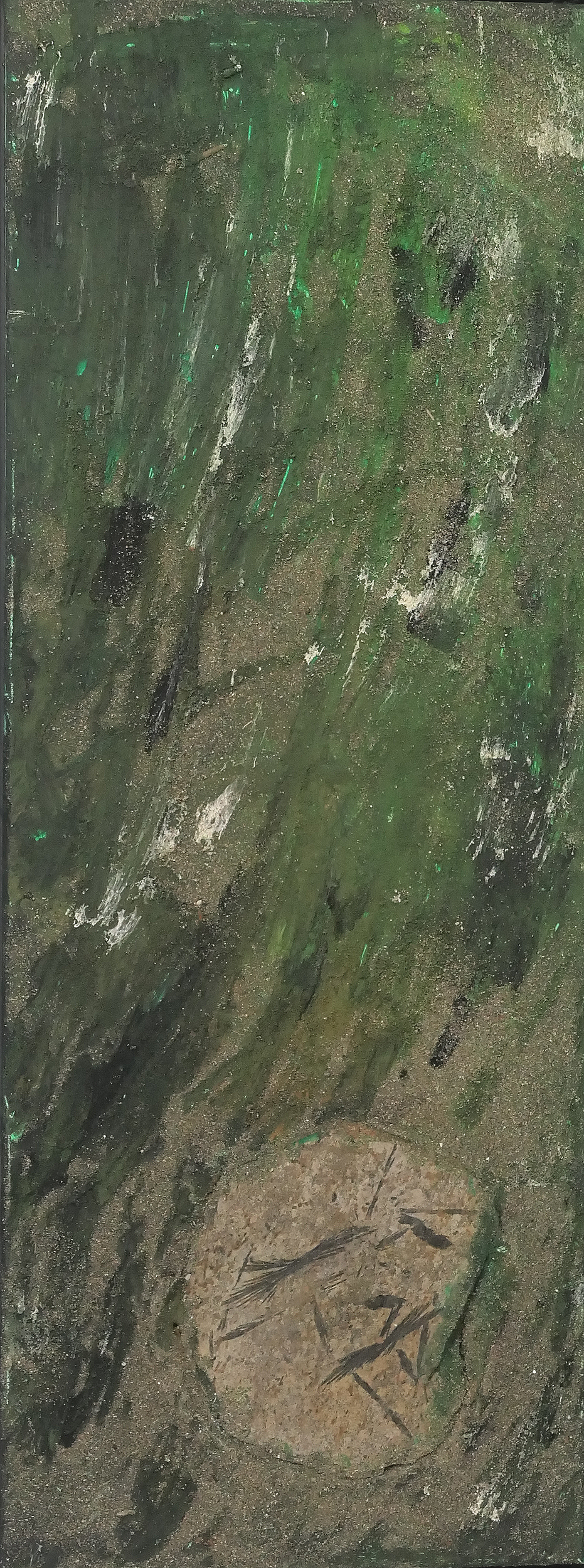 25_Versteinertes+Gras+P1025764.png