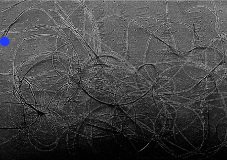 2000 SHEEPS RESIDNECY (1).gif