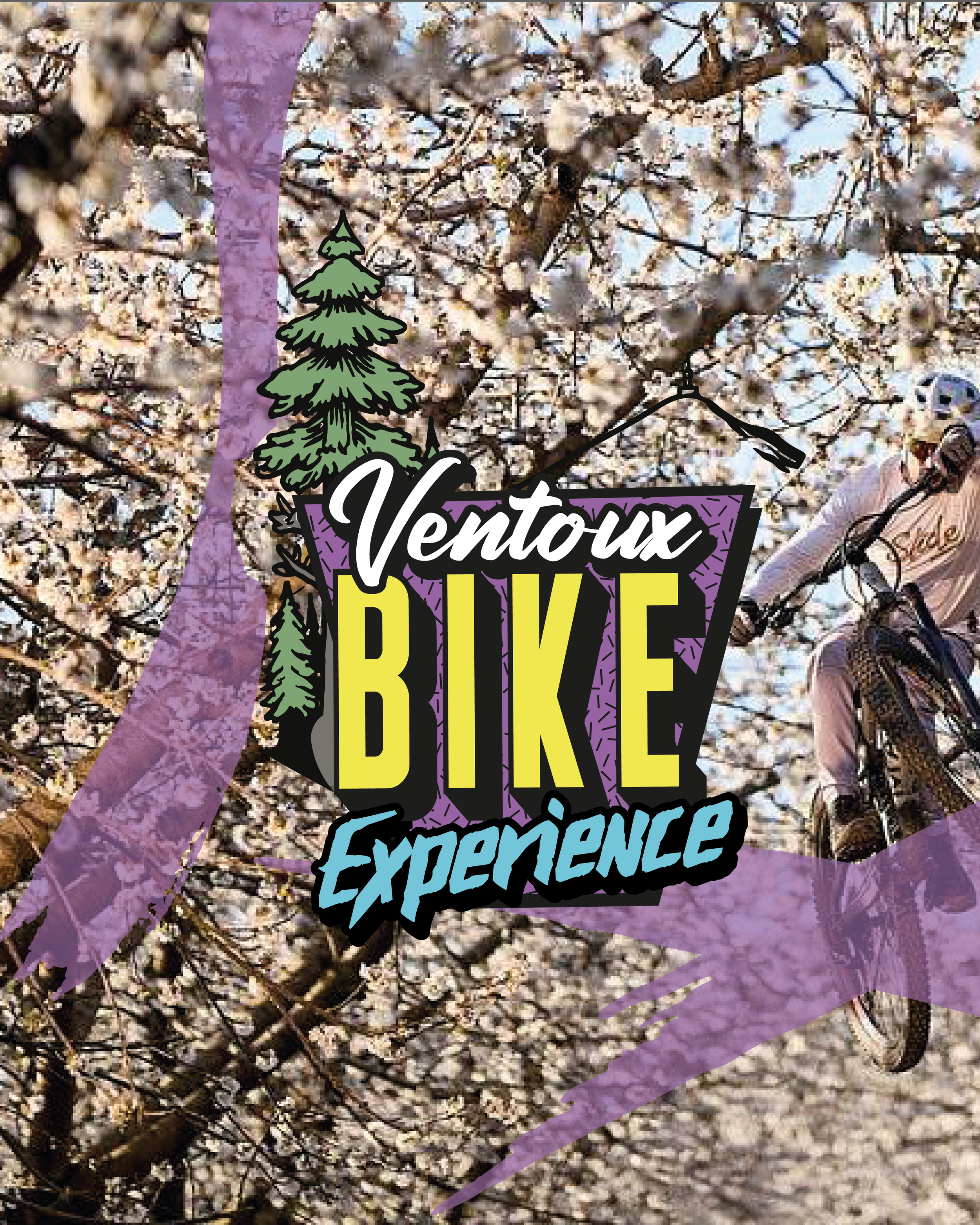 Stage VTT by Ventoux Bike Experience