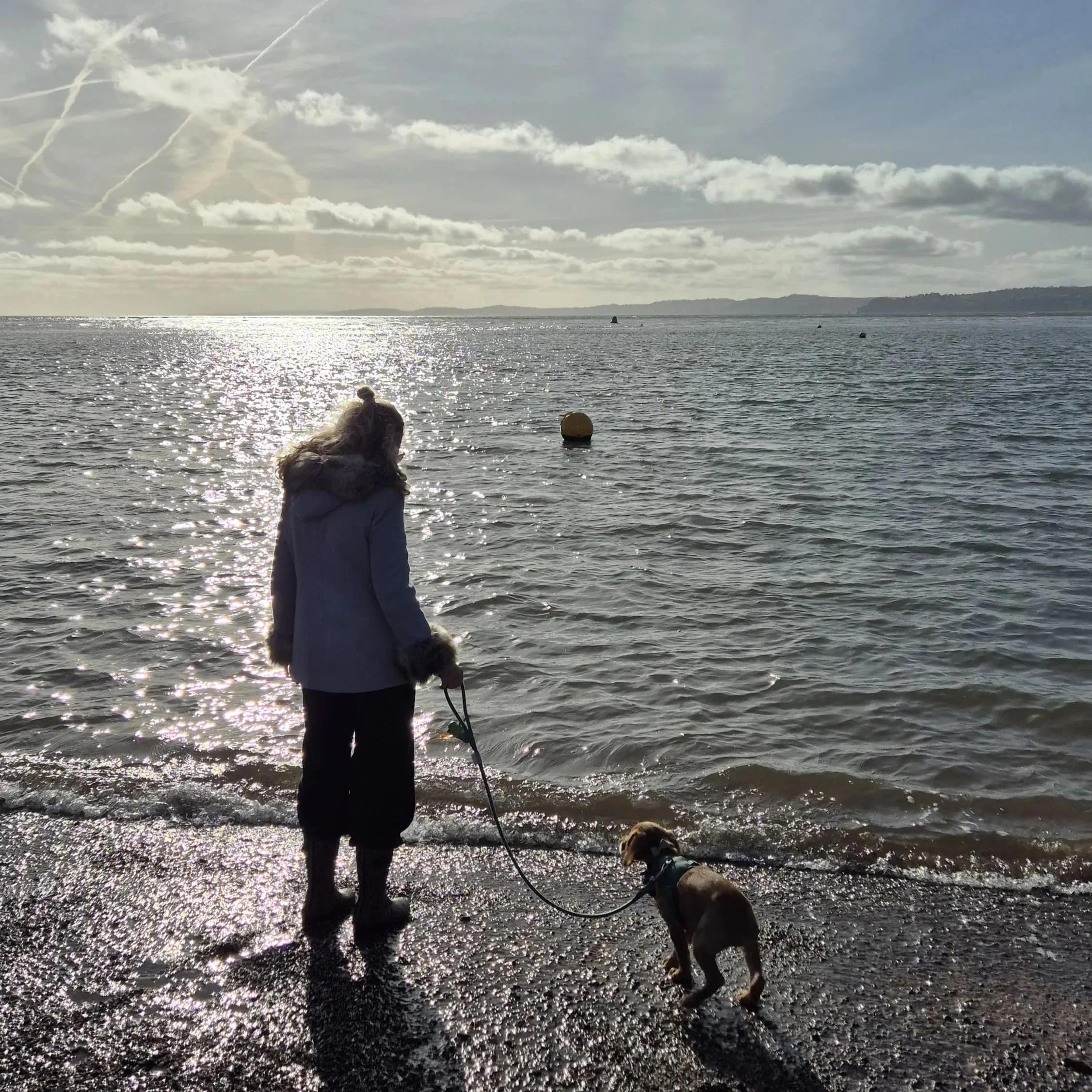 Person walking dog along the shoreline at sunset.