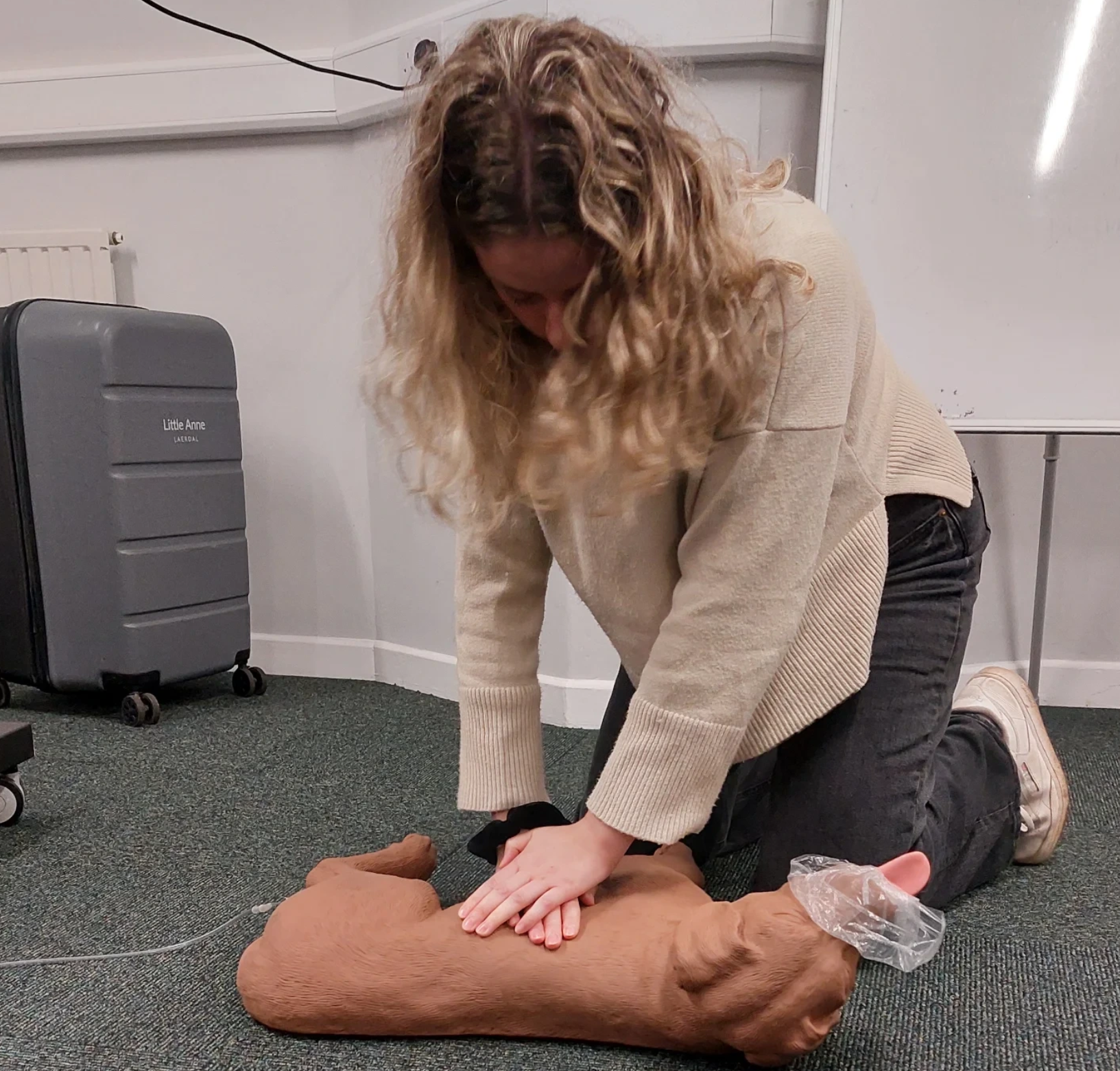 A woman is performing CPR on a dog lying on a cushion in an indoor setting. She is kneeling on the carpeted floor, pressing down on the dog’s chest with her hands. The room has a heater, a whiteboard, and some bags and personal items nearby.