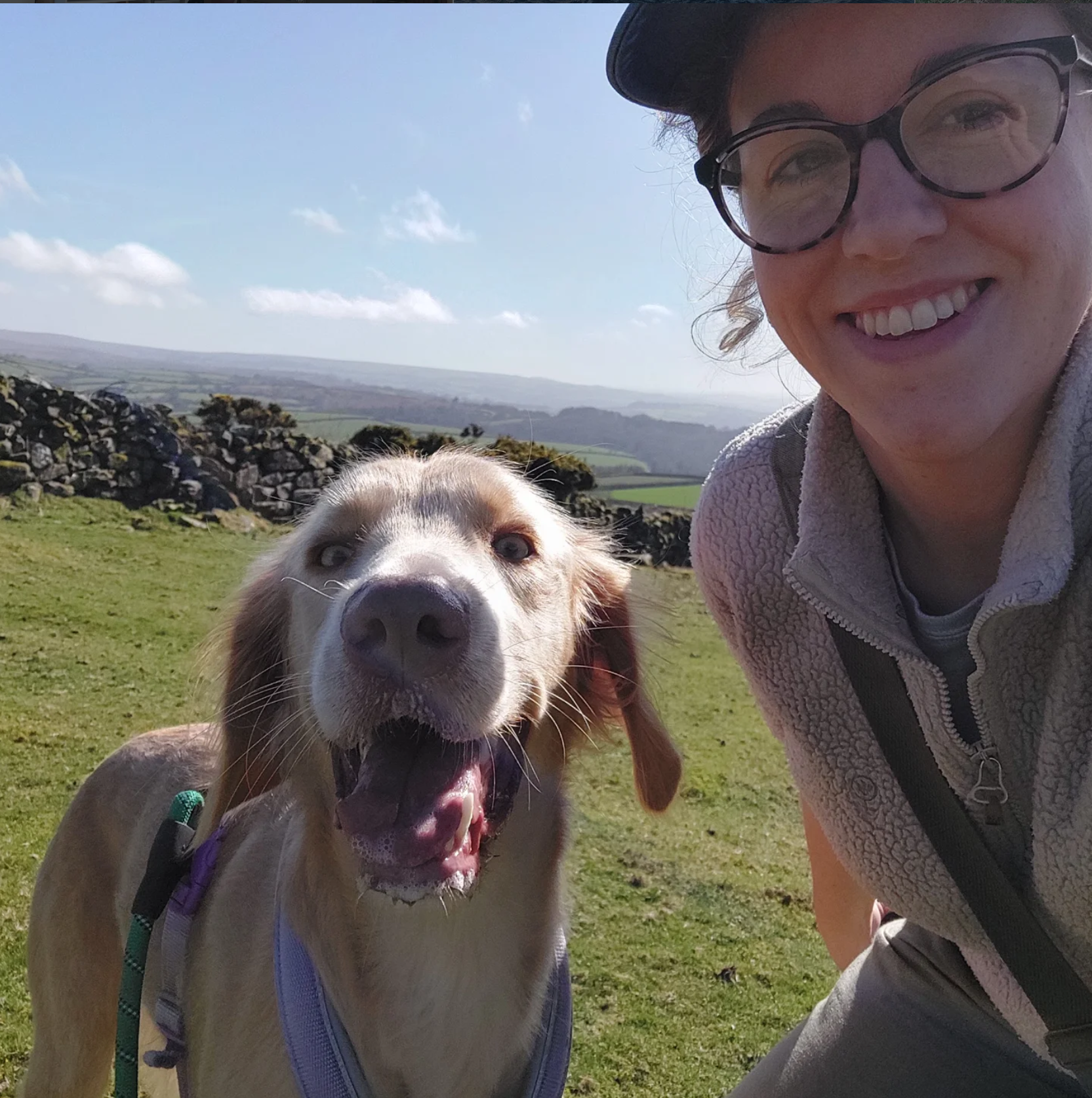 A smiling woman wearing glasses and a cap taking a selfie outdoors with her happy dog, which is wearing a harness, in a grassy area with stone walls and a scenic countryside background under a partly cloudy sky.